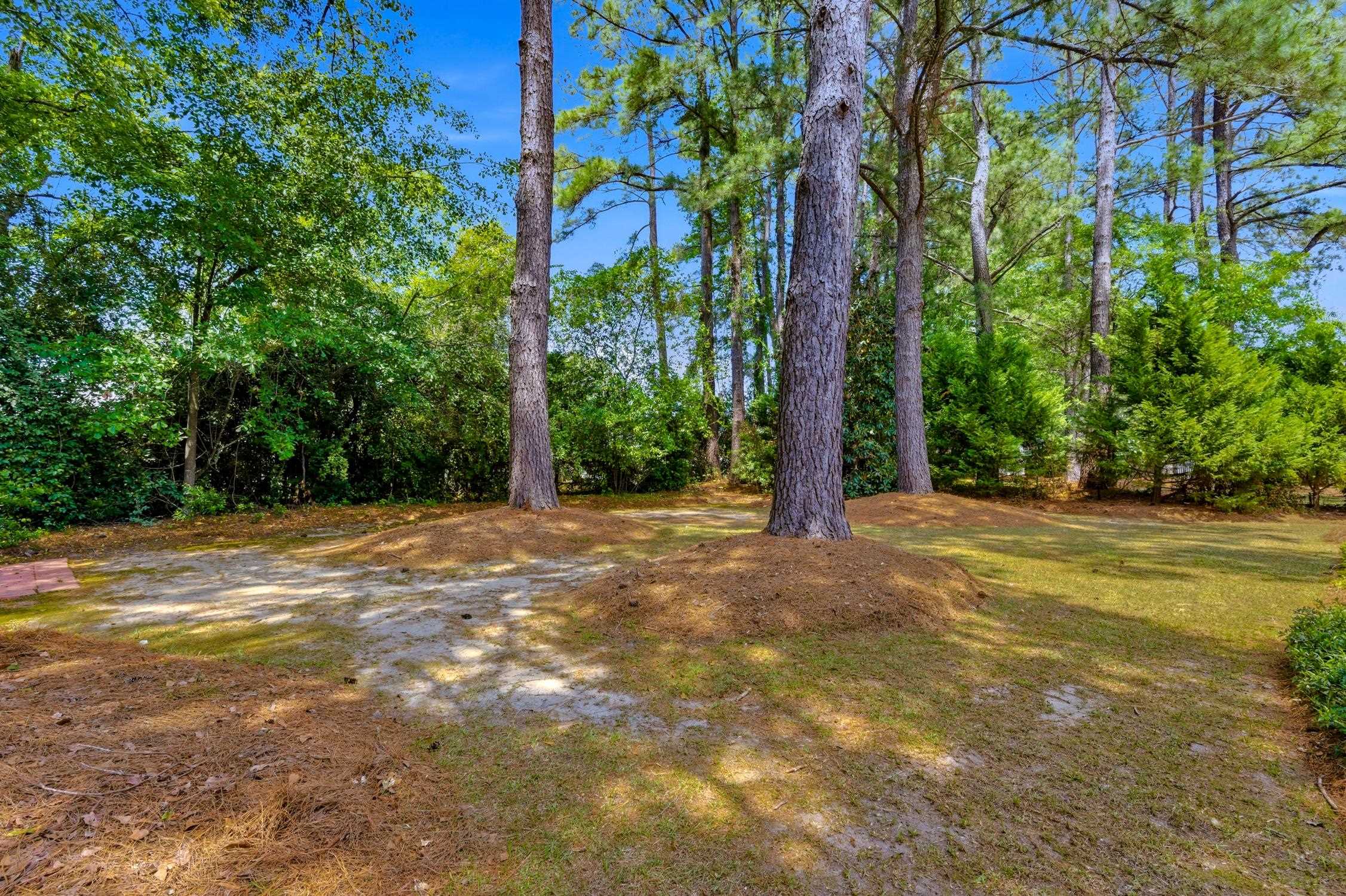 3068 Sweetpine Ln. Property Photo 34