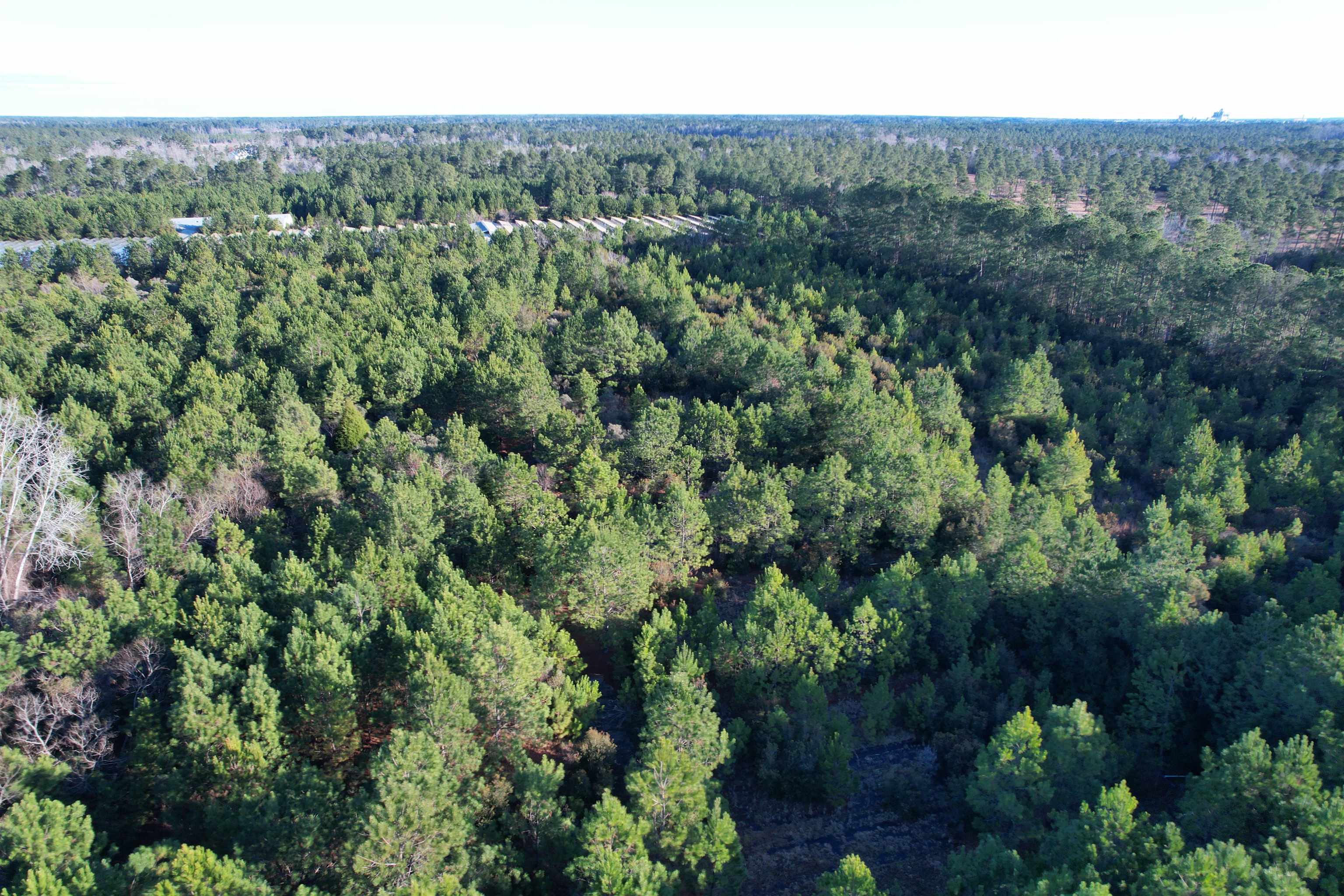 2386 Pennyroyal Rd. Property Photo 16