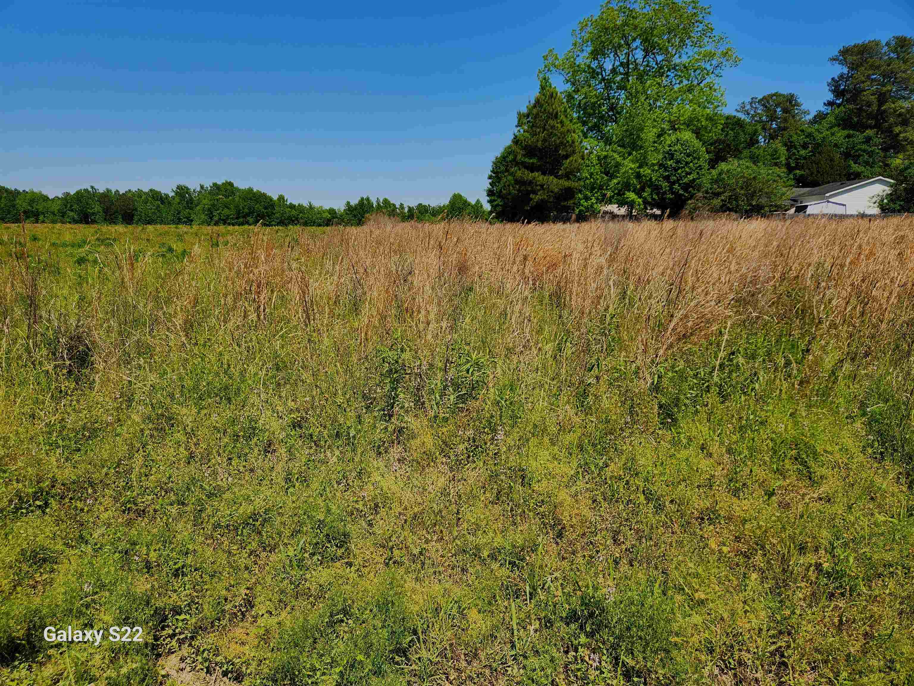 Tbd Pleasant View Church Rd. Property Photo 1