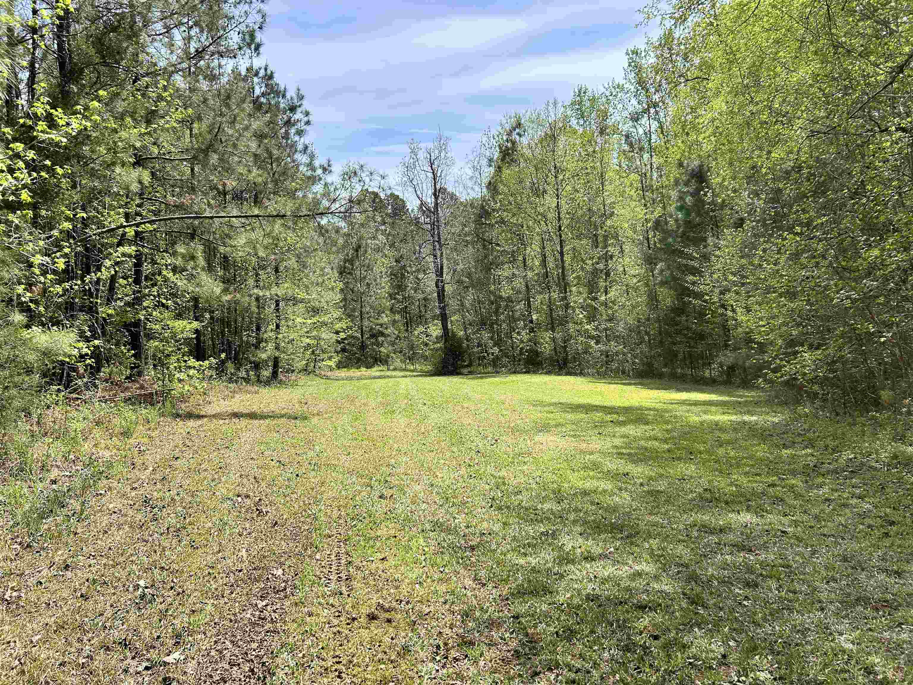 187 Ibis Ln. Property Photo 27