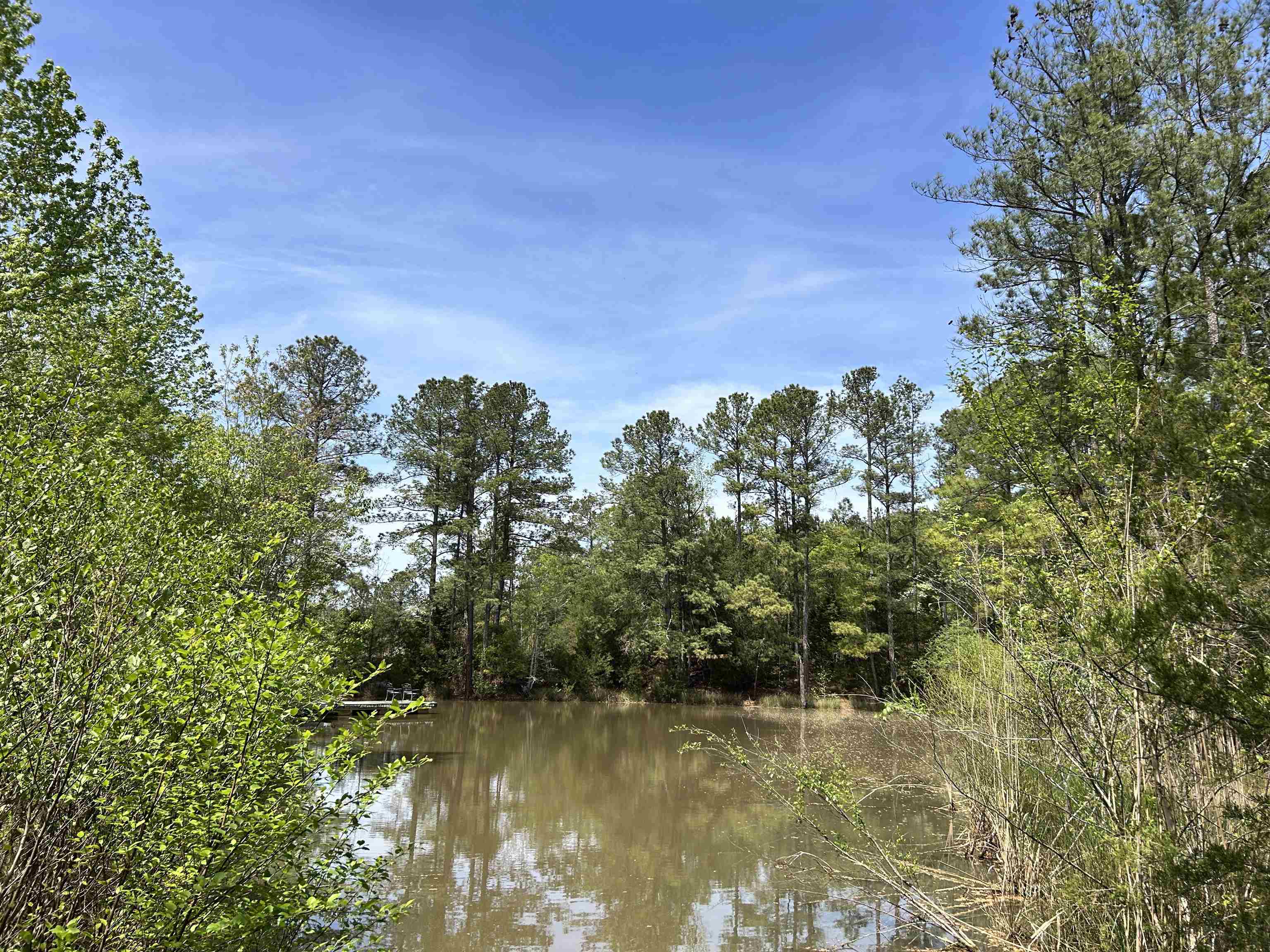 187 Ibis Ln. Property Photo 28