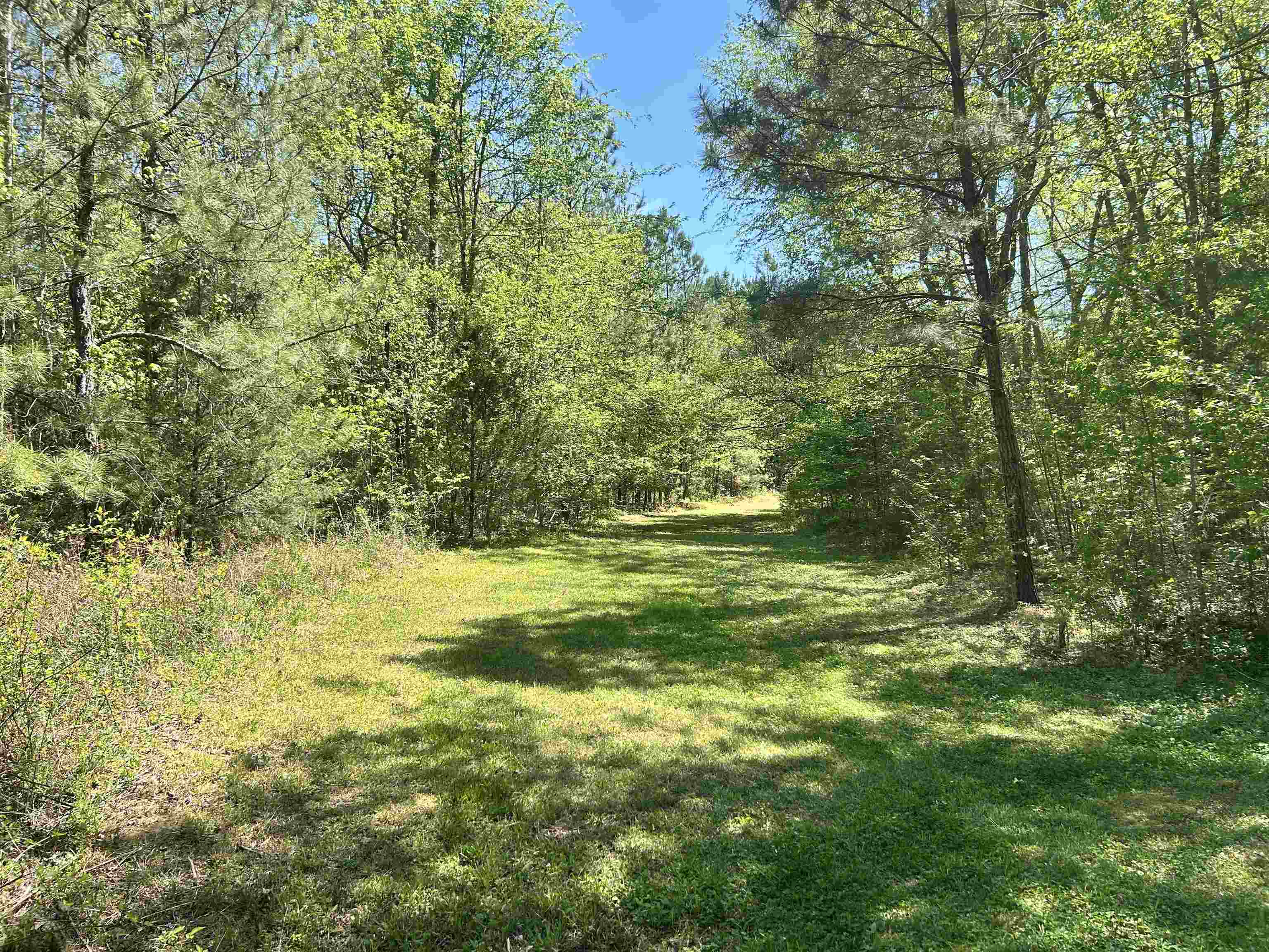 187 Ibis Ln. Property Photo 29