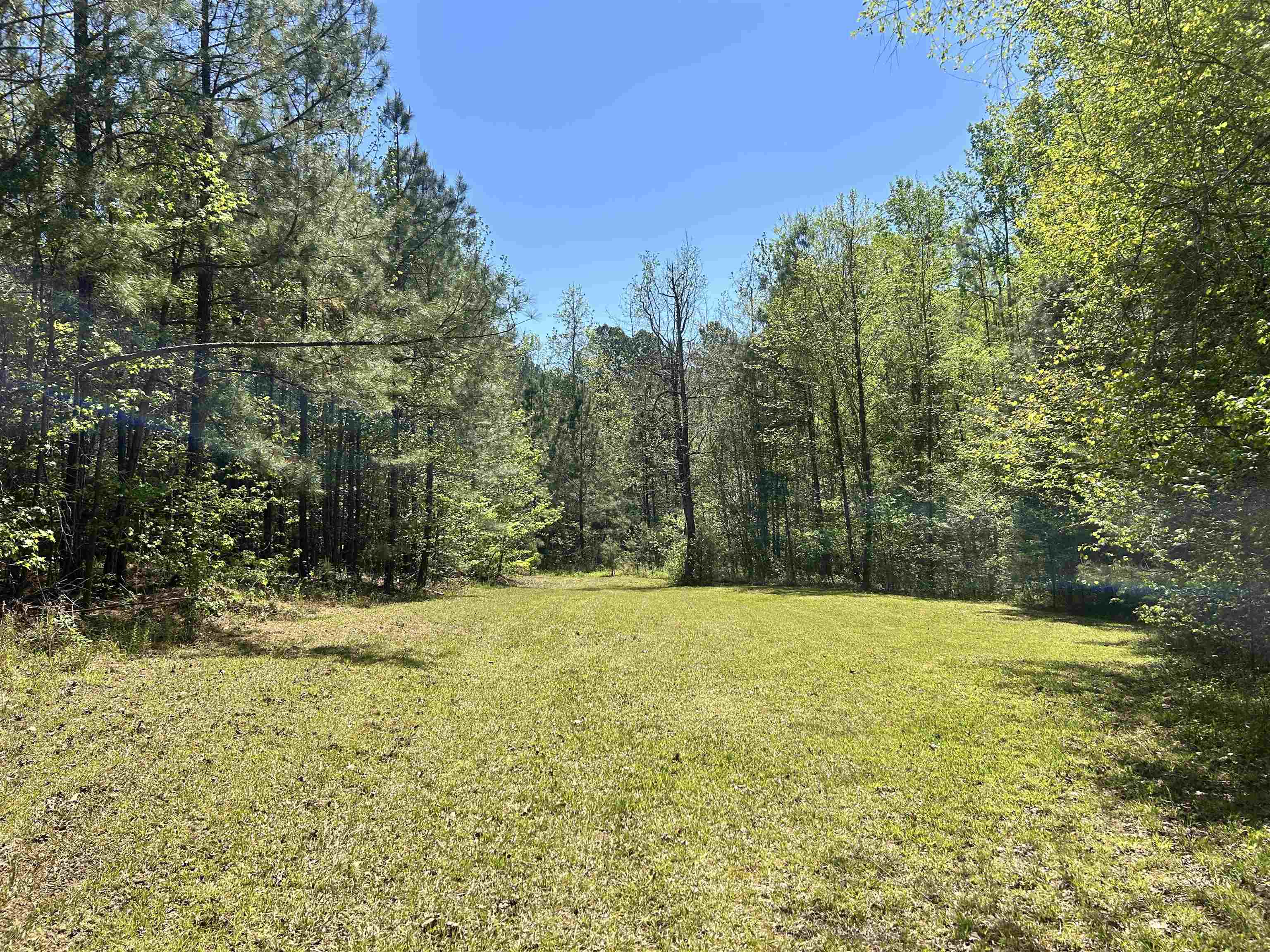 187 Ibis Ln. Property Photo 30
