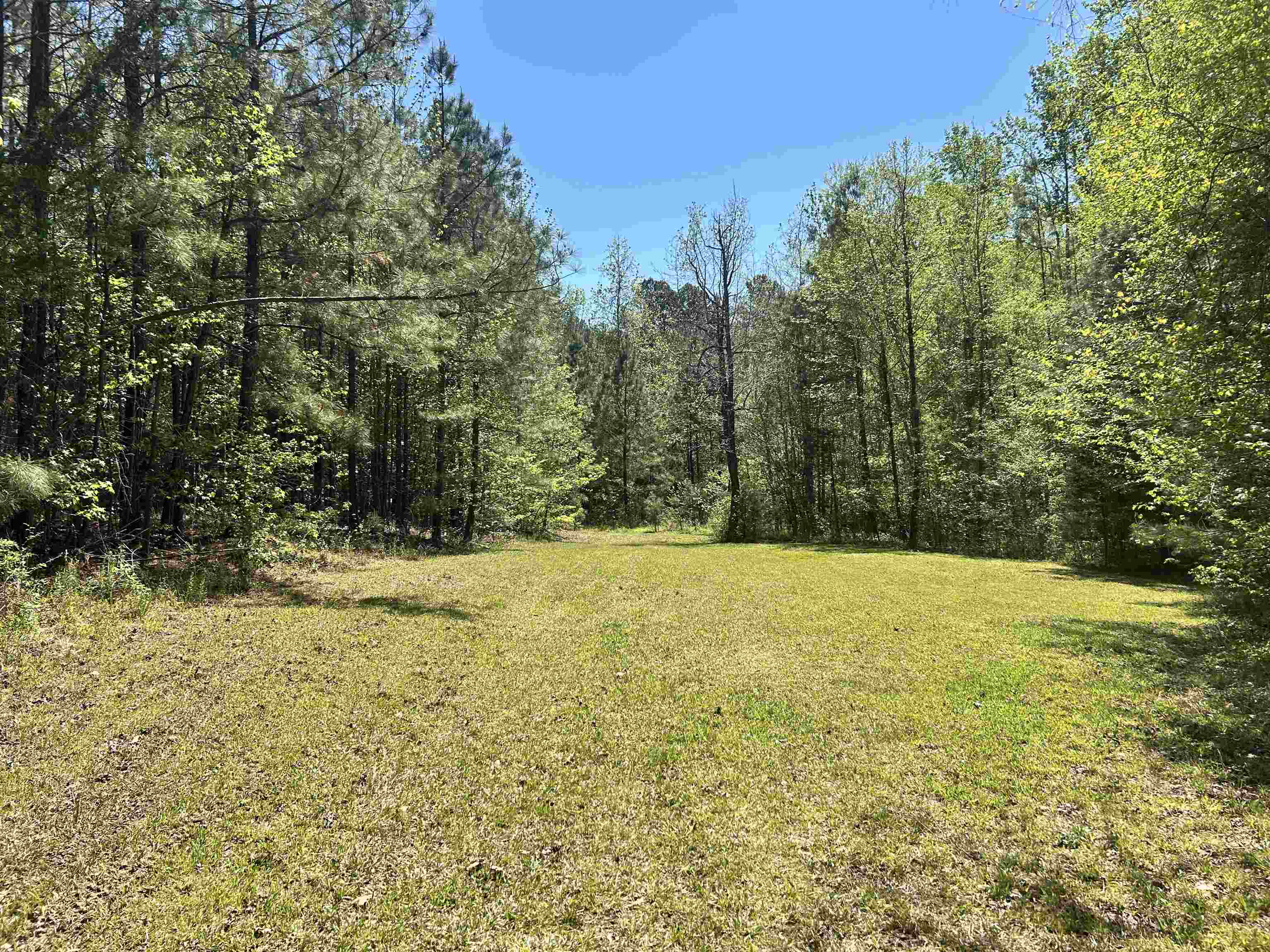 187 Ibis Ln. Property Photo 31
