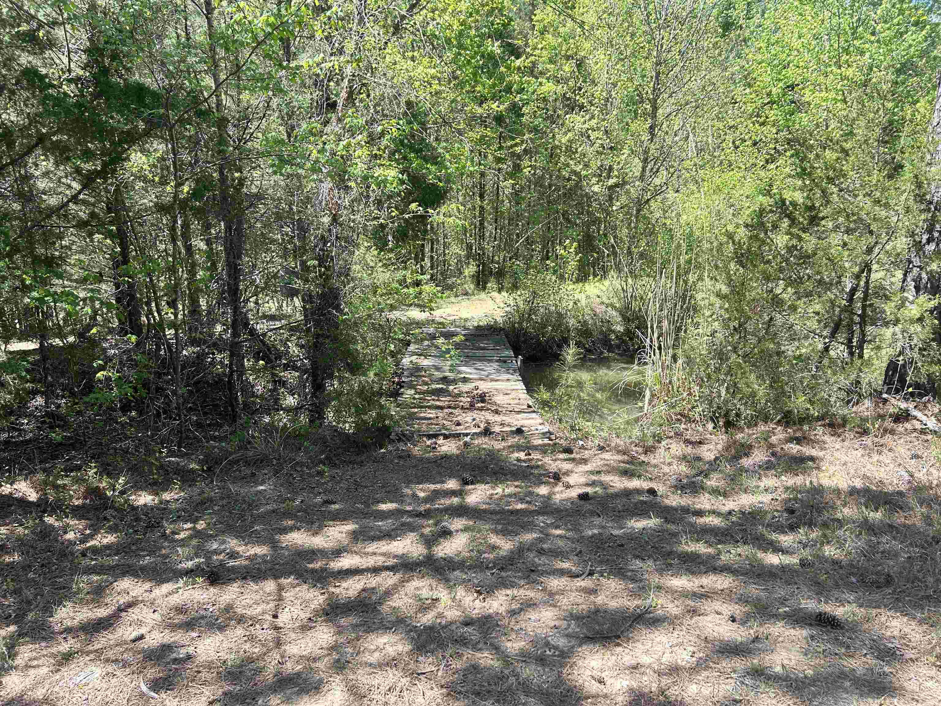 187 Ibis Ln. Property Photo 32