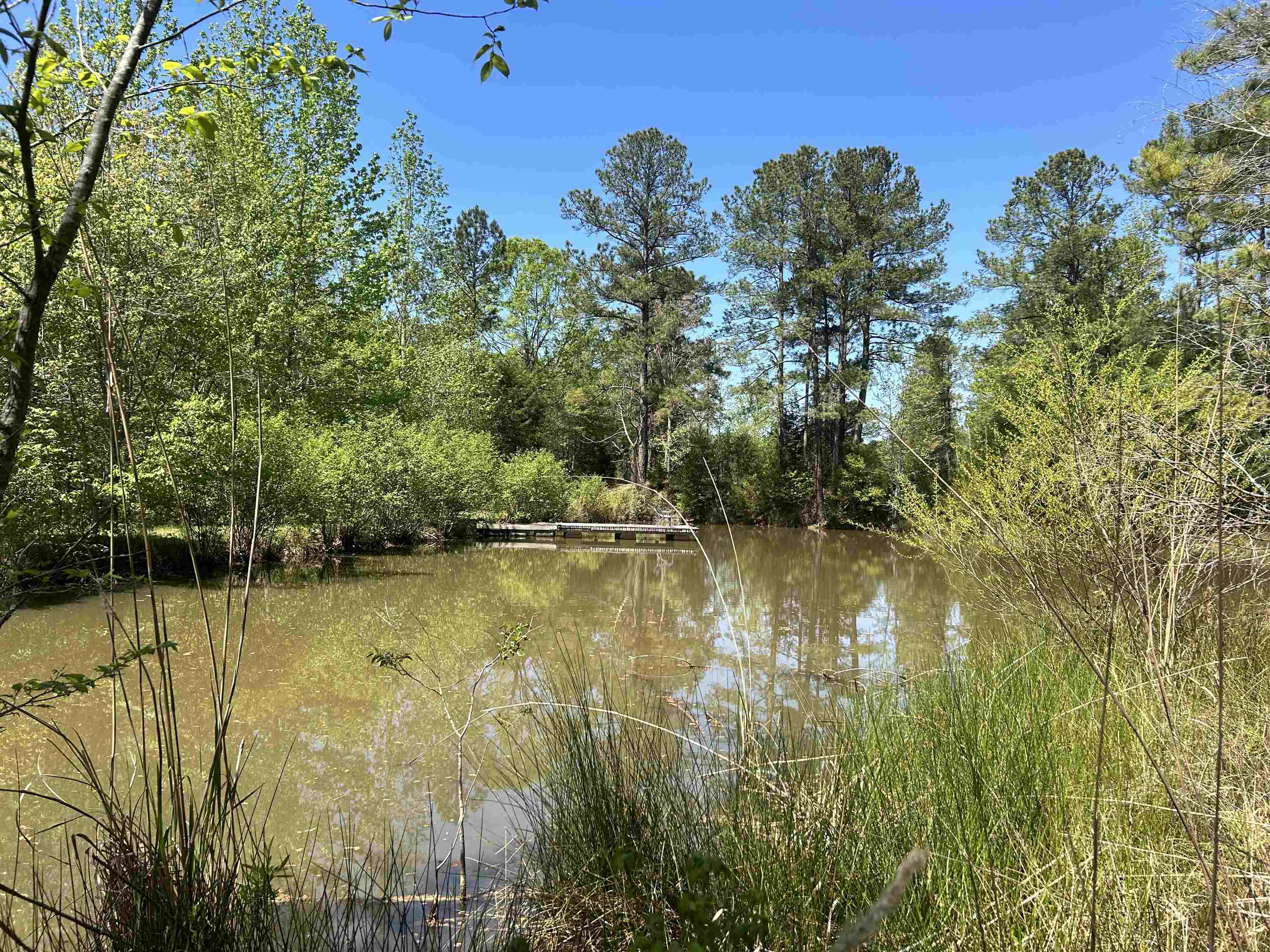 187 Ibis Ln. Property Photo 33