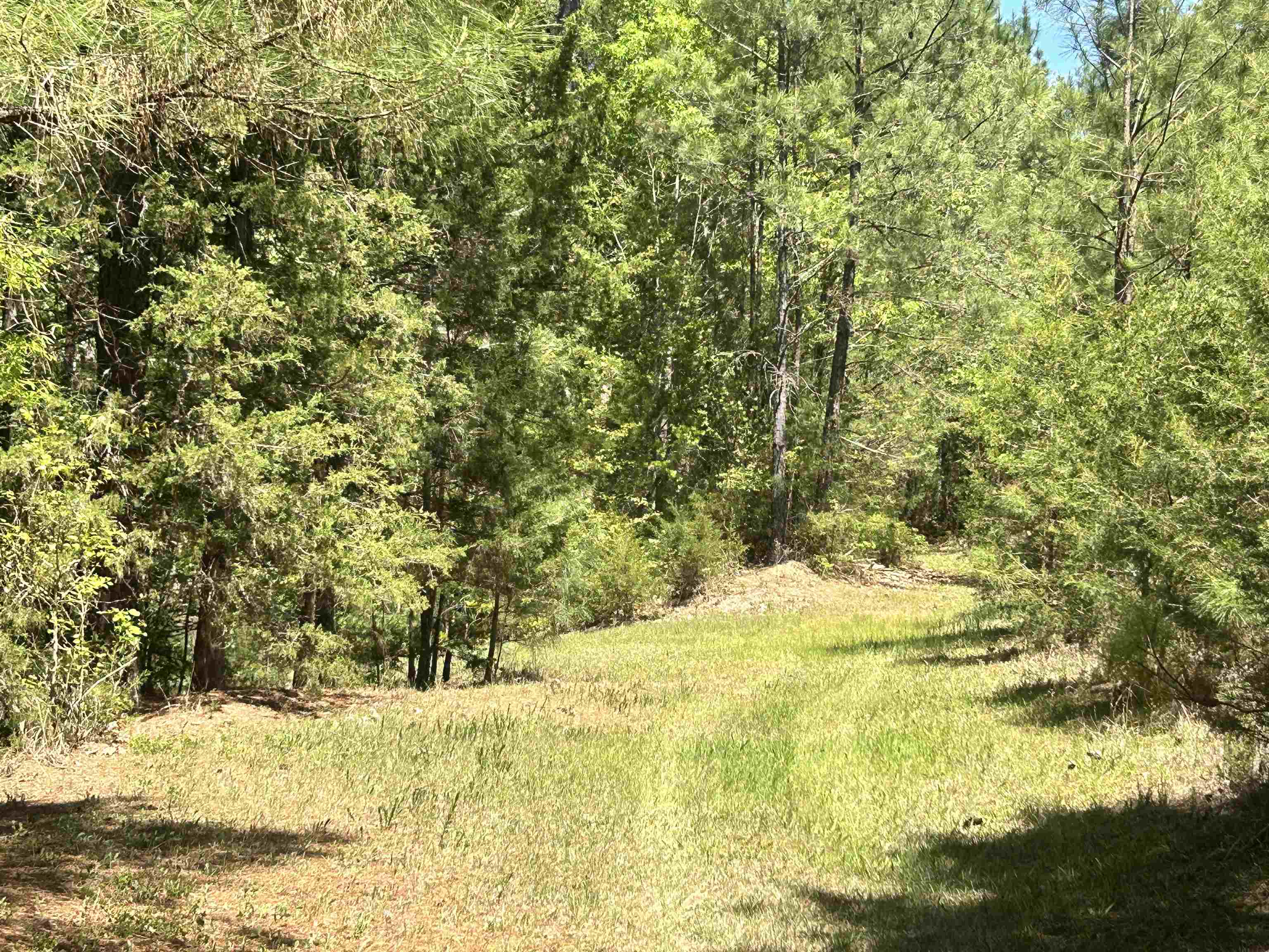187 Ibis Ln. Property Photo 36