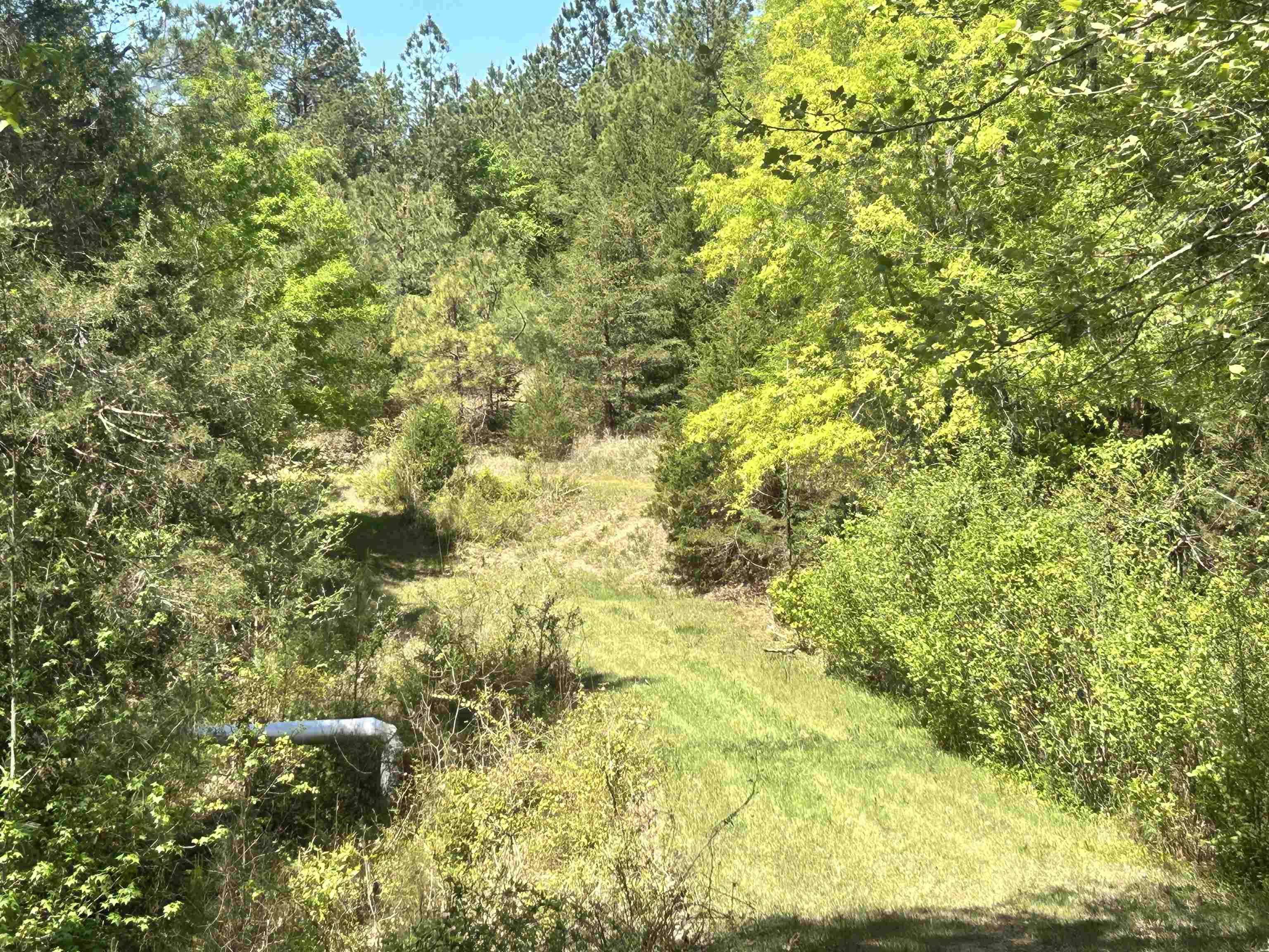 187 Ibis Ln. Property Photo 37