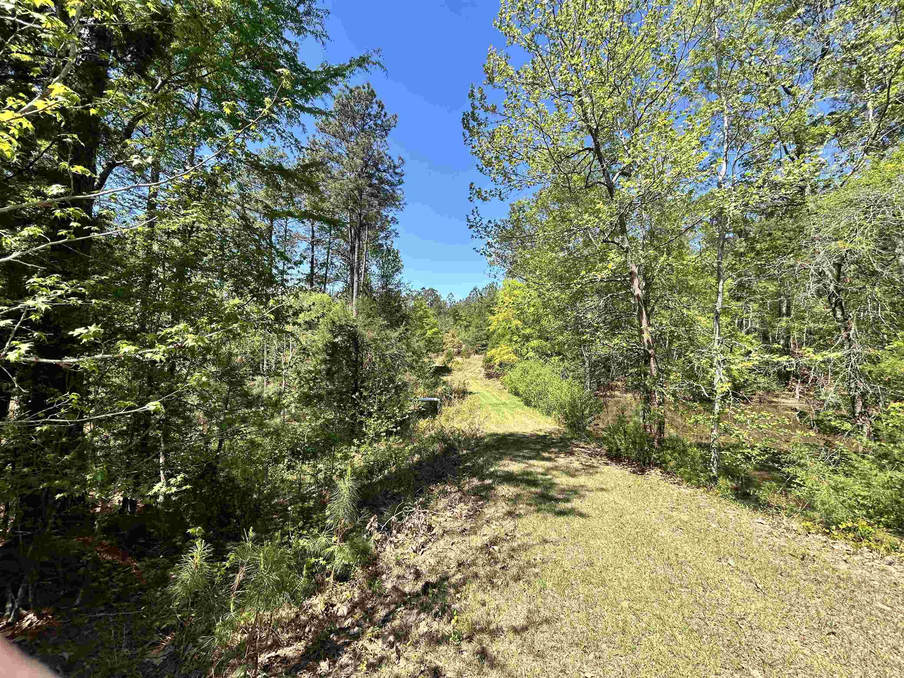 187 Ibis Ln. Property Photo 38