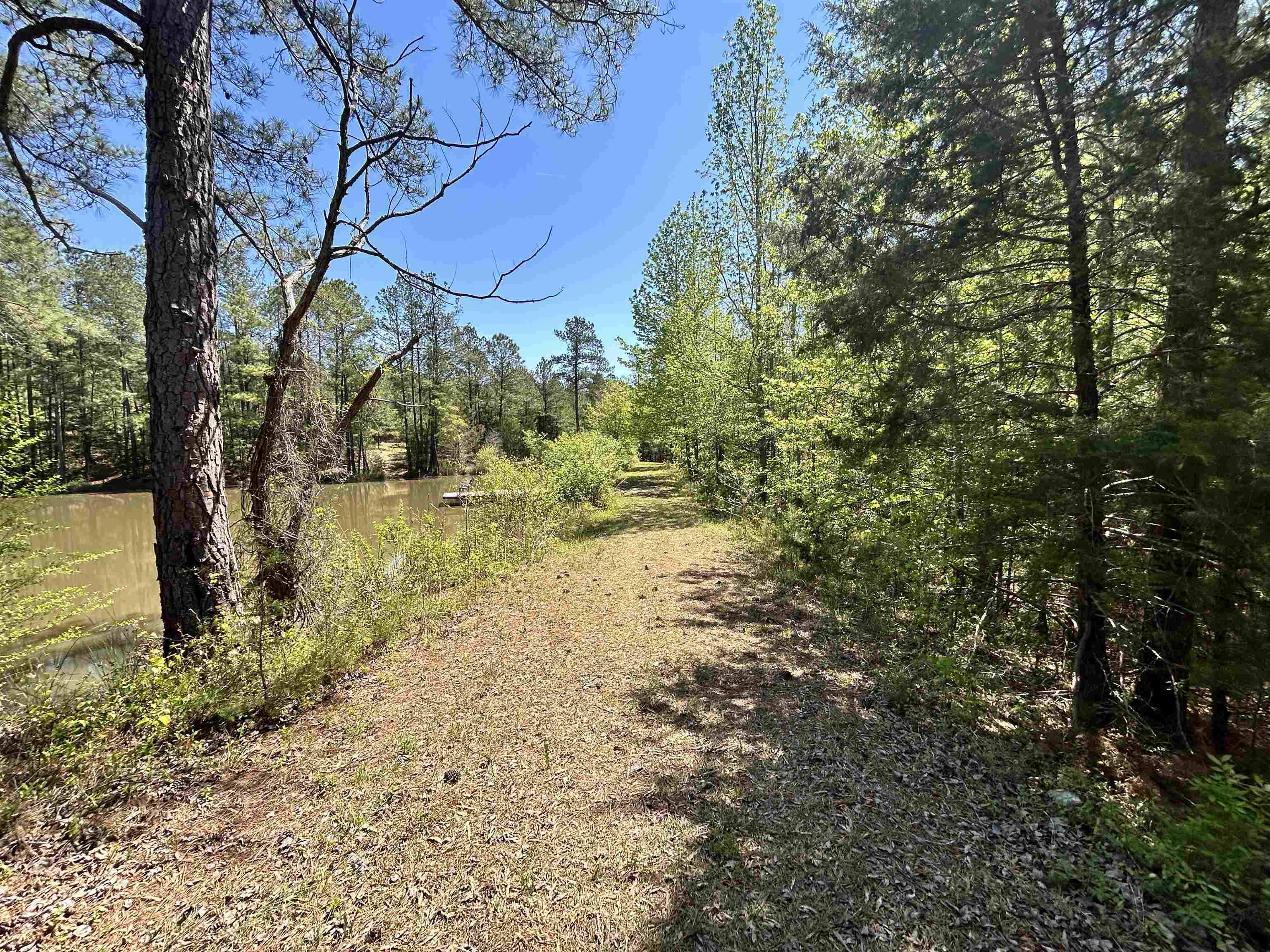187 Ibis Ln. Property Photo 49