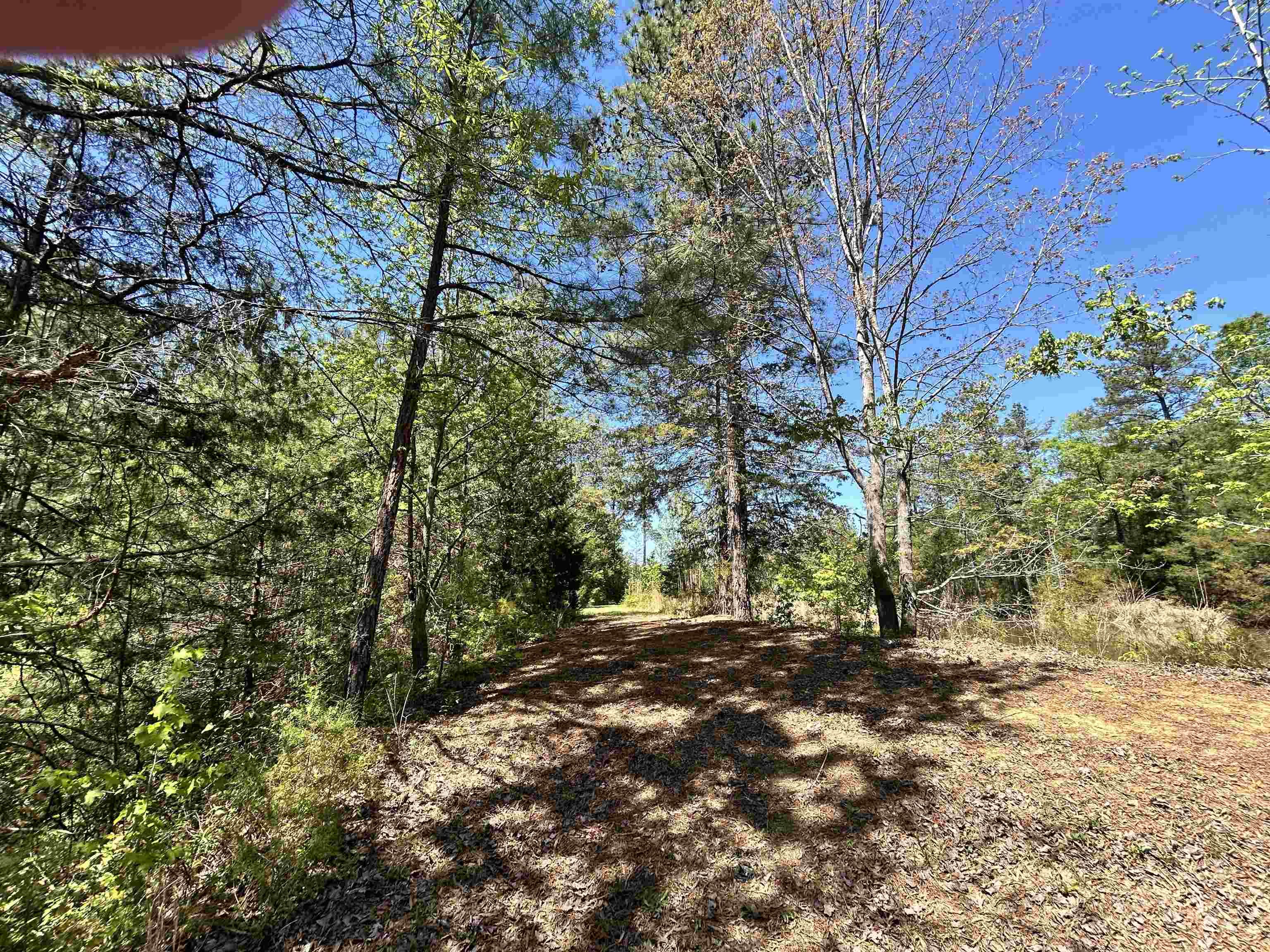 187 Ibis Ln. Property Photo 51