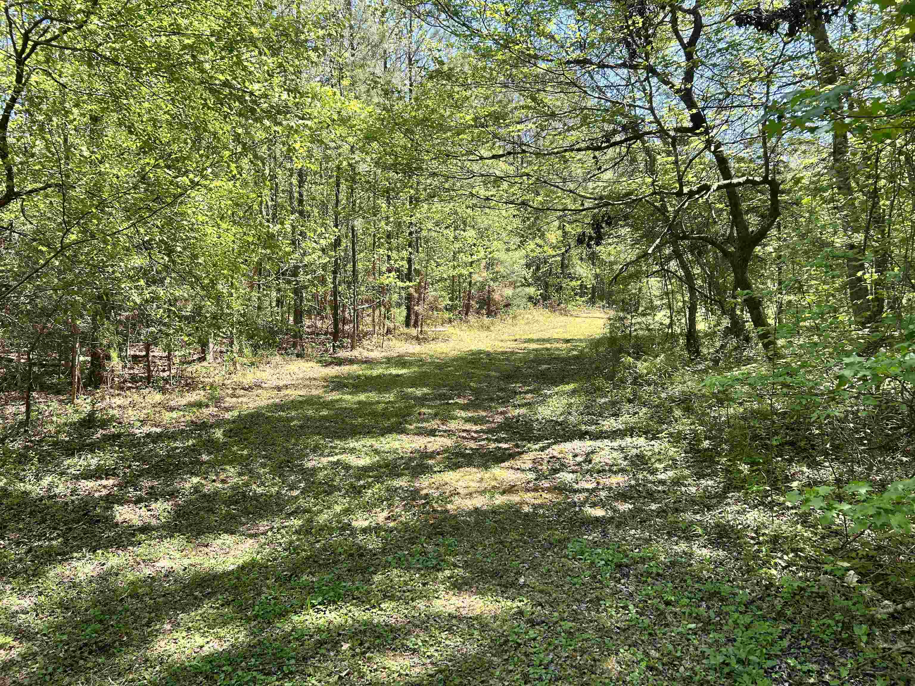 187 Ibis Ln. Property Photo 52