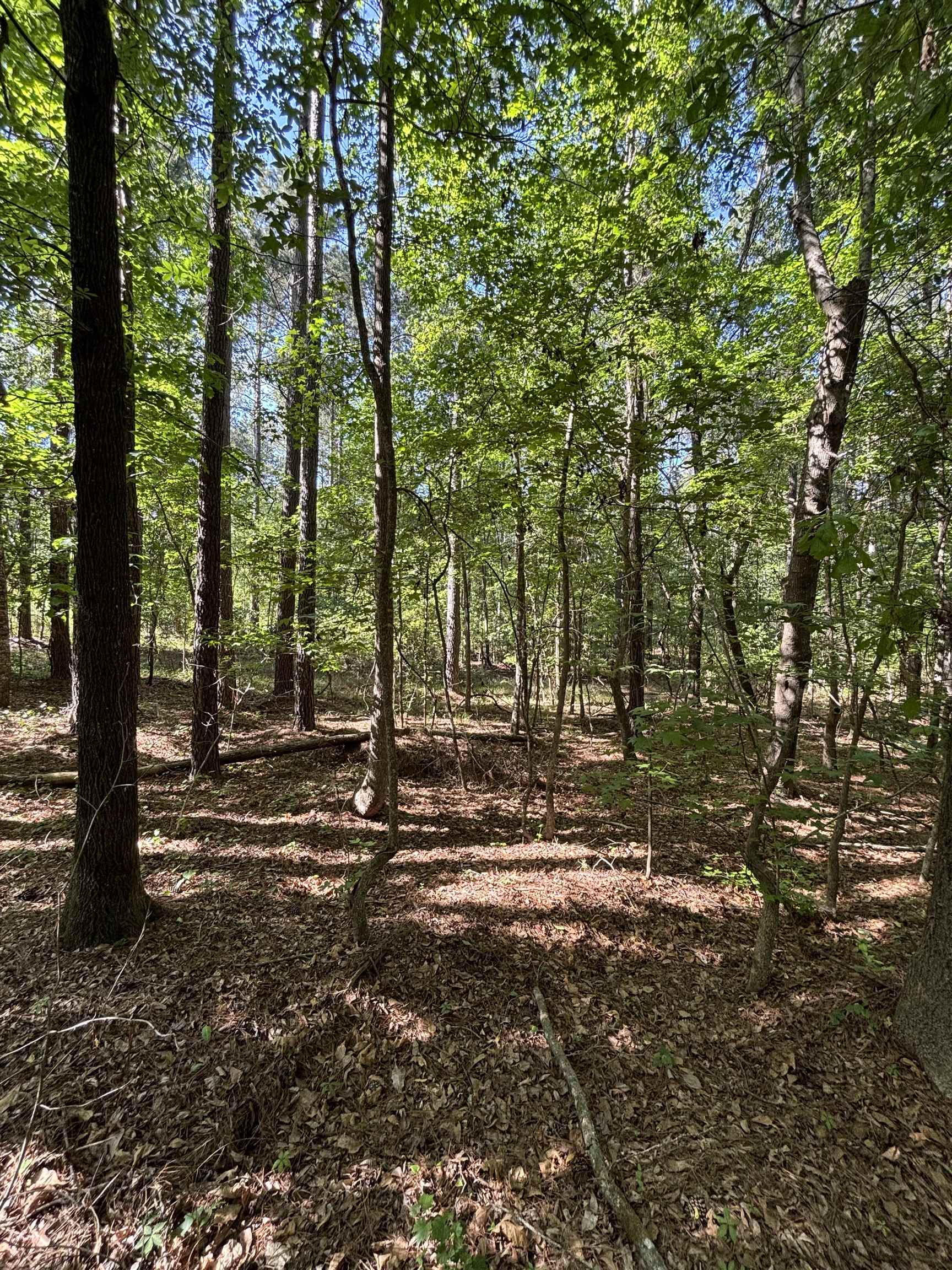 Tbd Pearson Rd. Property Photo 3