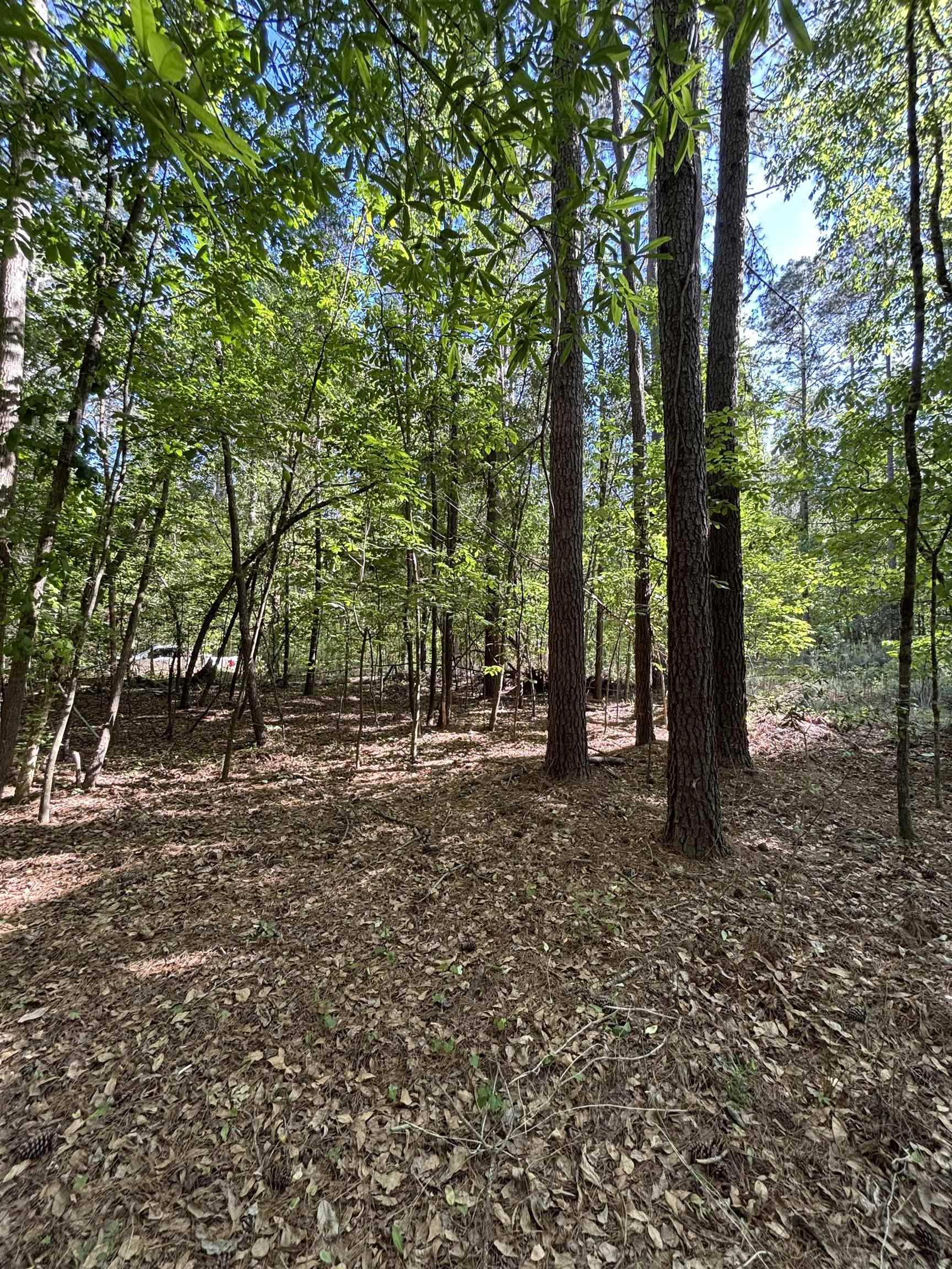 Tbd Pearson Rd. Property Photo 4