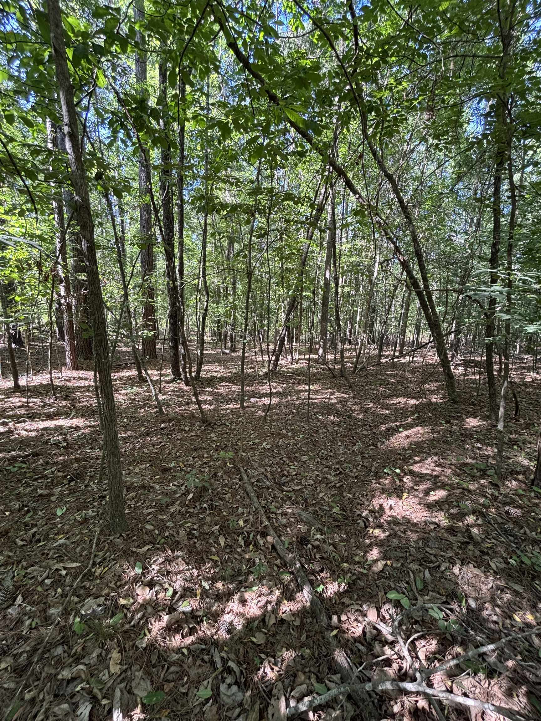 Tbd Pearson Rd. Property Photo 5