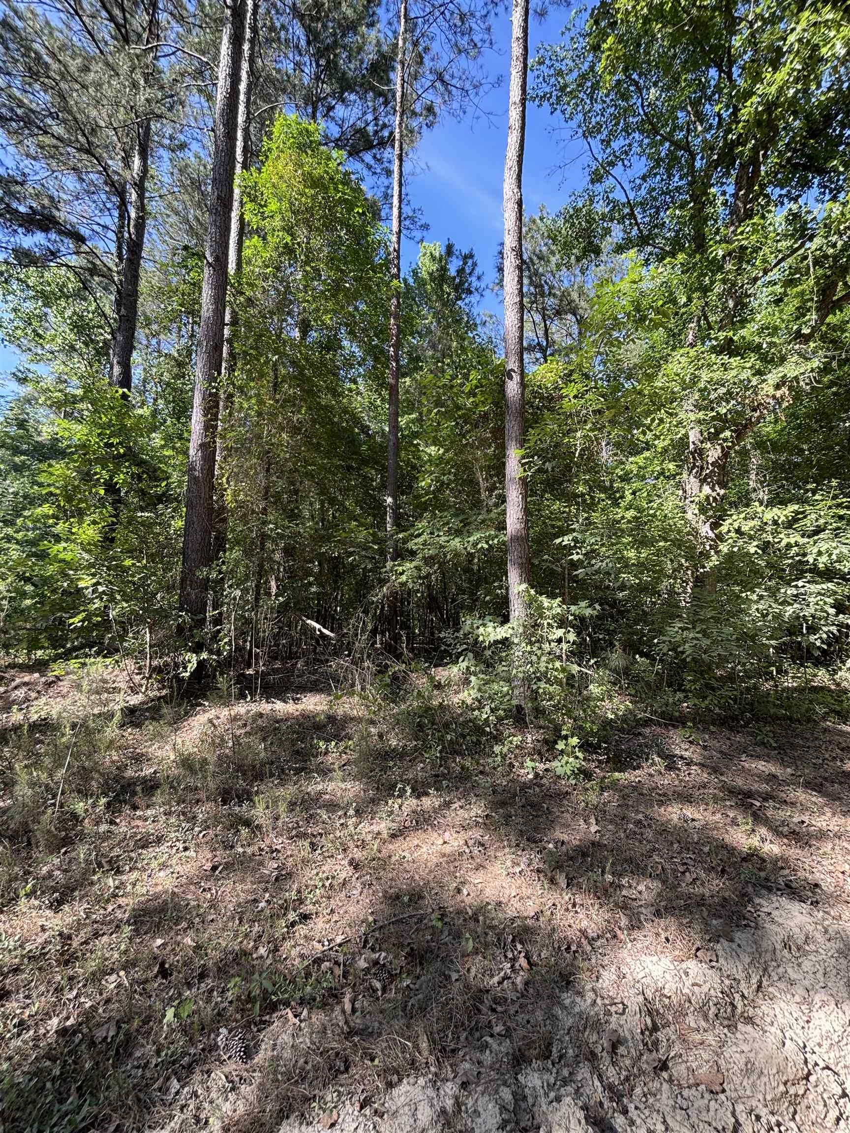 Tbd Pearson Rd. Property Photo 6