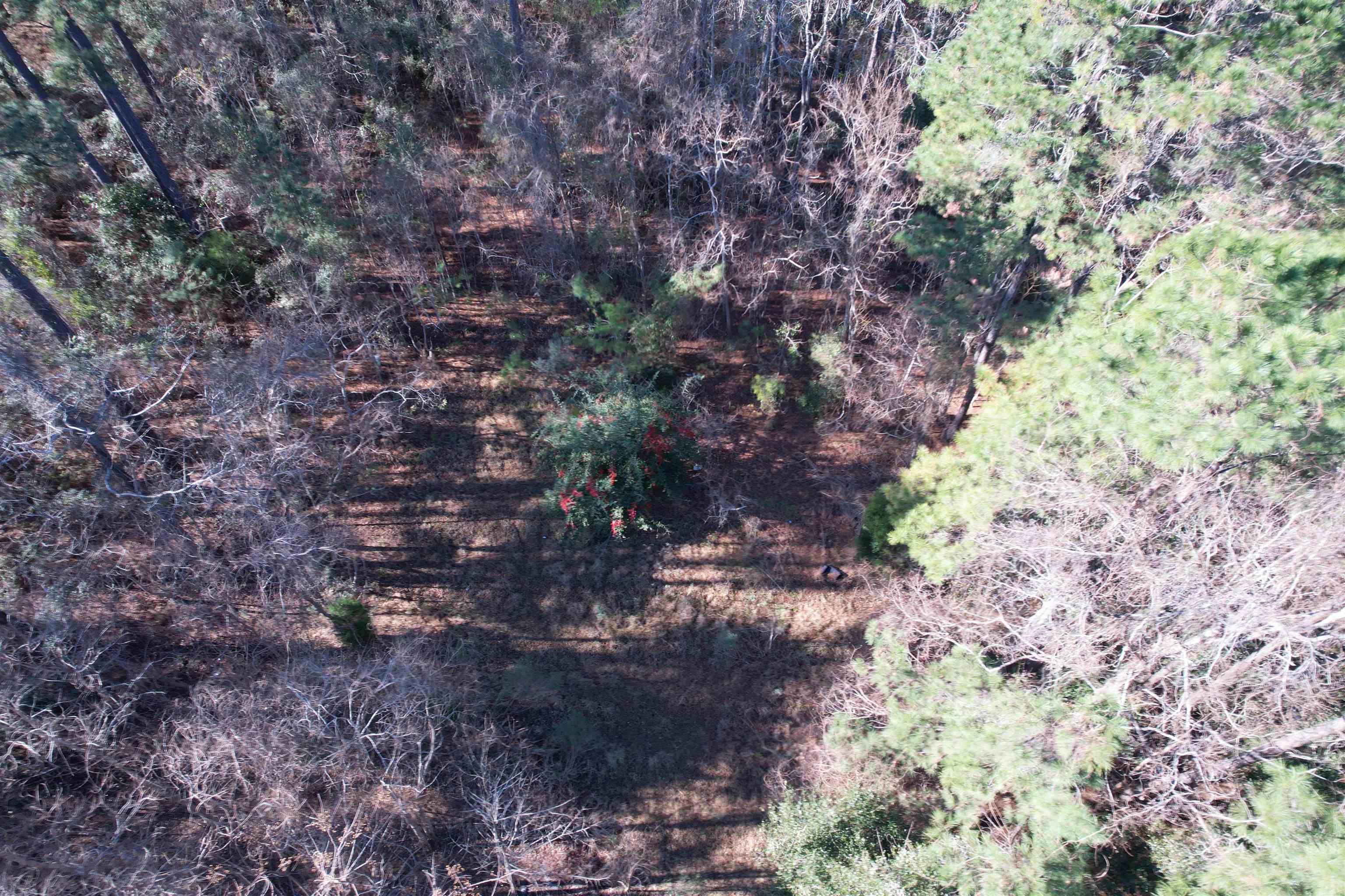 22 Lots - Goelet Ct. Property Photo 13
