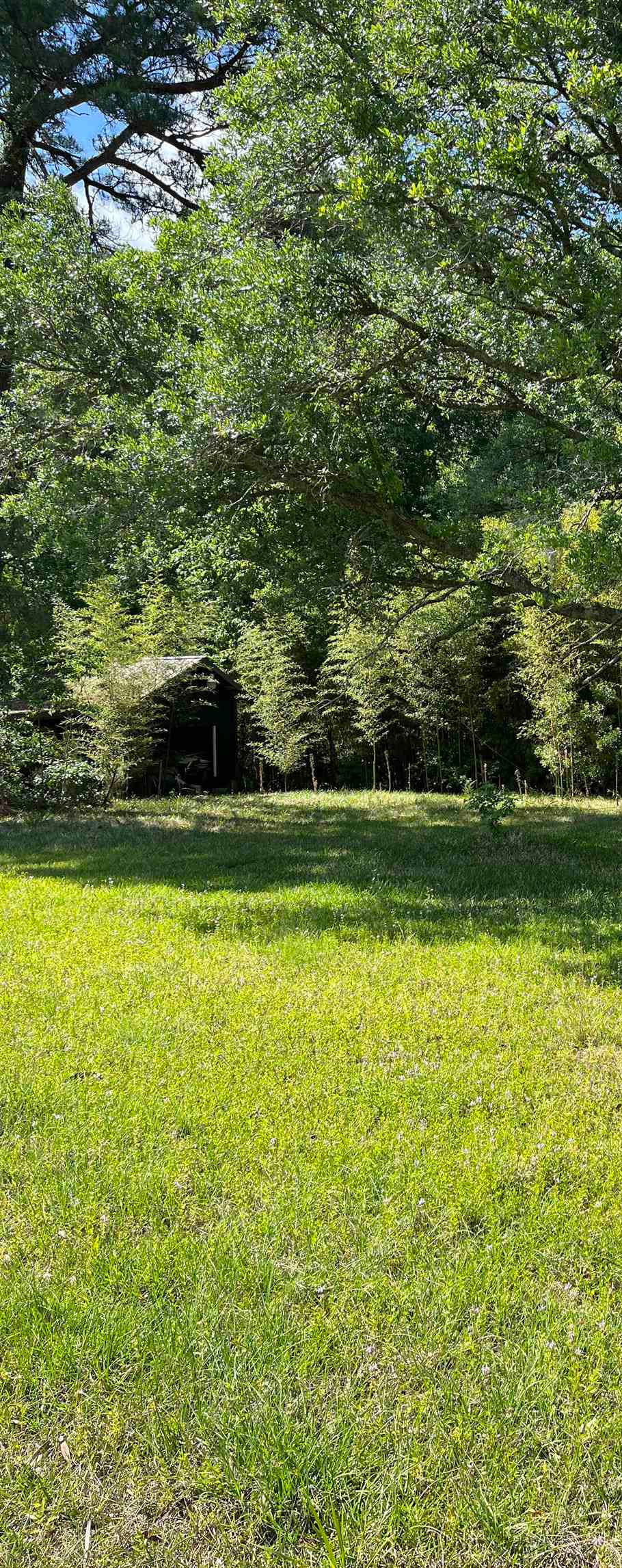 5453 Old Highway 472 Property Photo 3