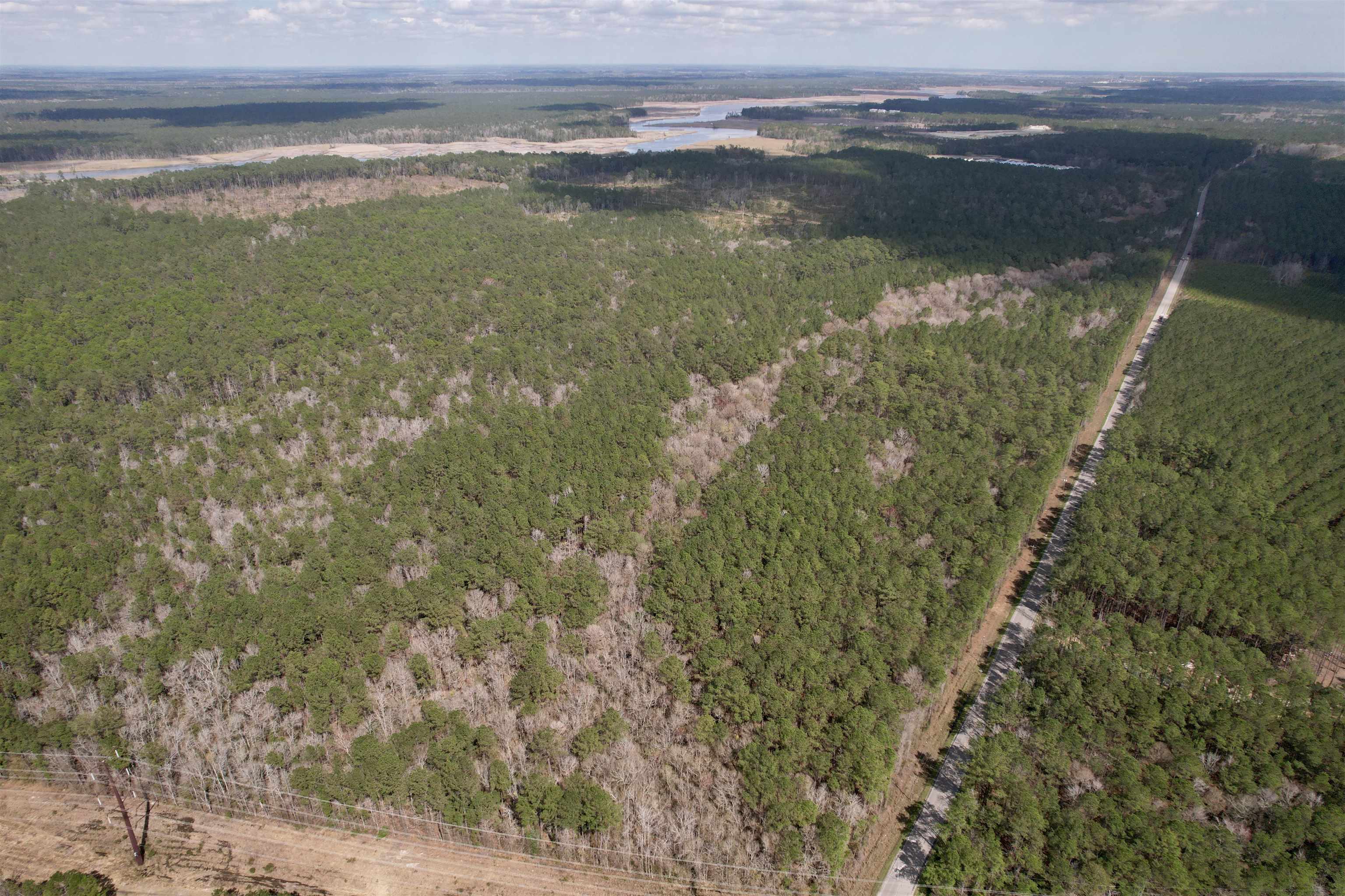 Tract C - Tbd Pennyroyal Rd. Property Photo 1
