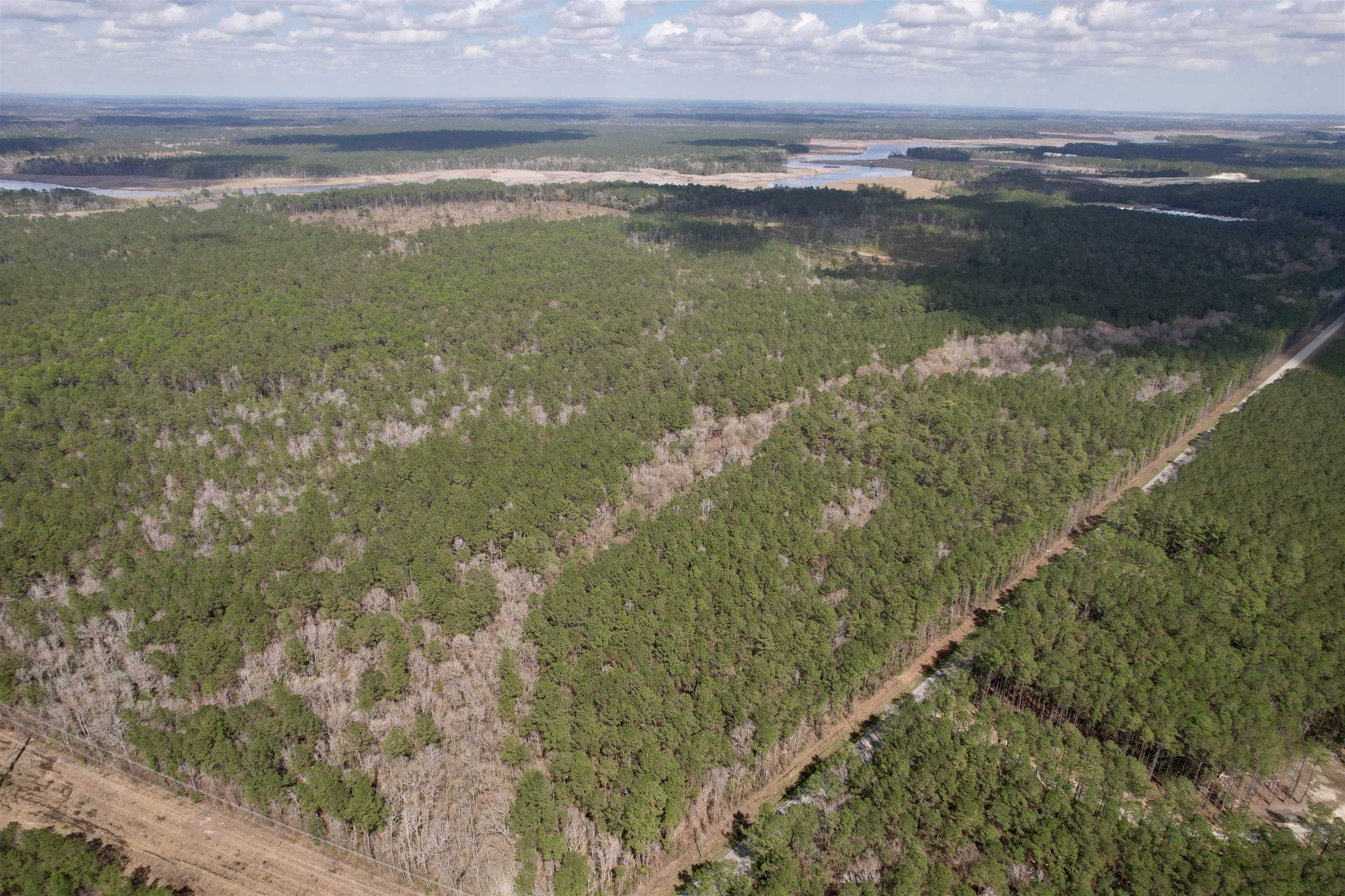 Tract C - Tbd Pennyroyal Rd. Property Photo 4
