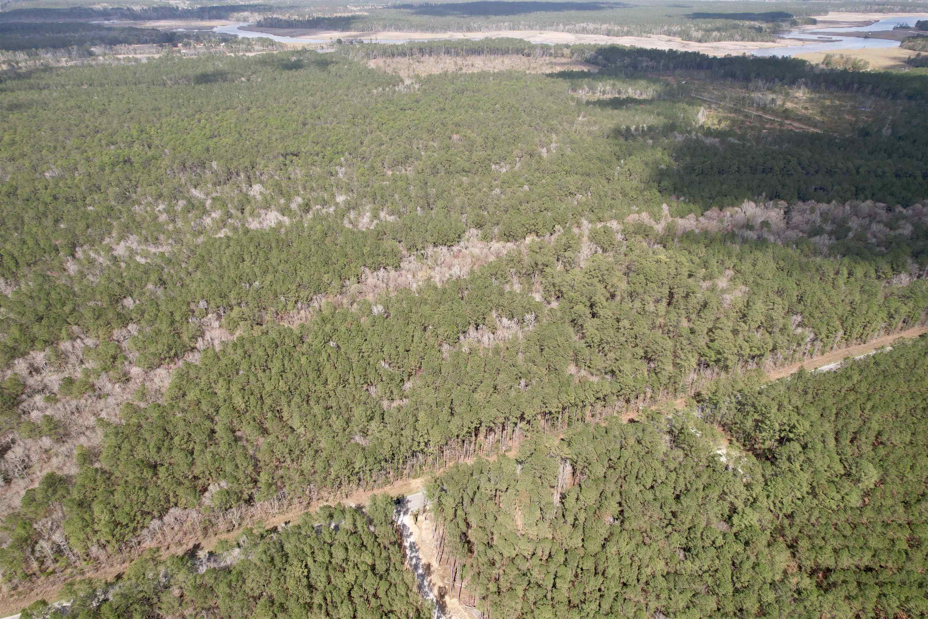 Tract C - Tbd Pennyroyal Rd. Property Photo 5