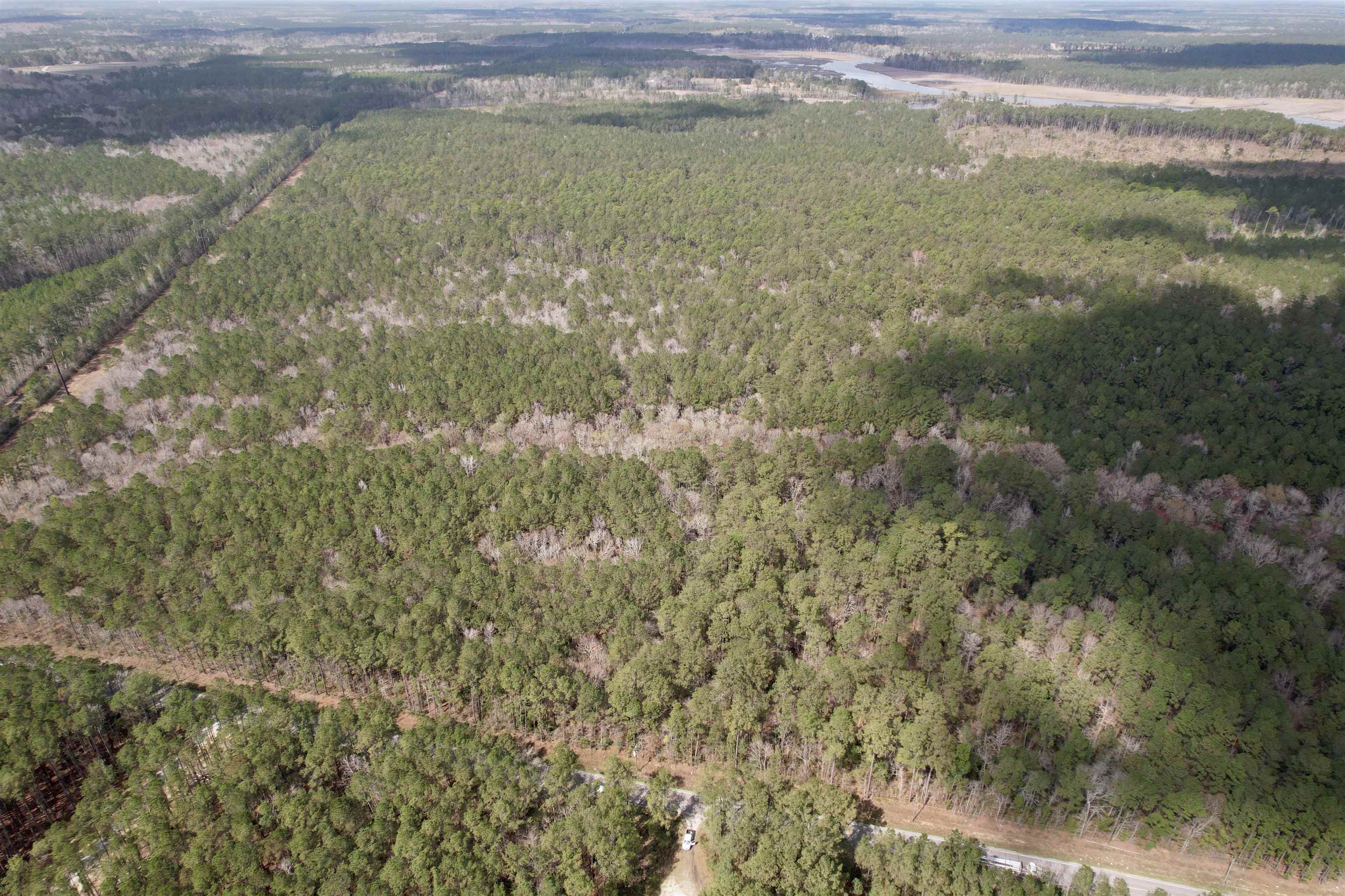 Tract C - Tbd Pennyroyal Rd. Property Photo 7
