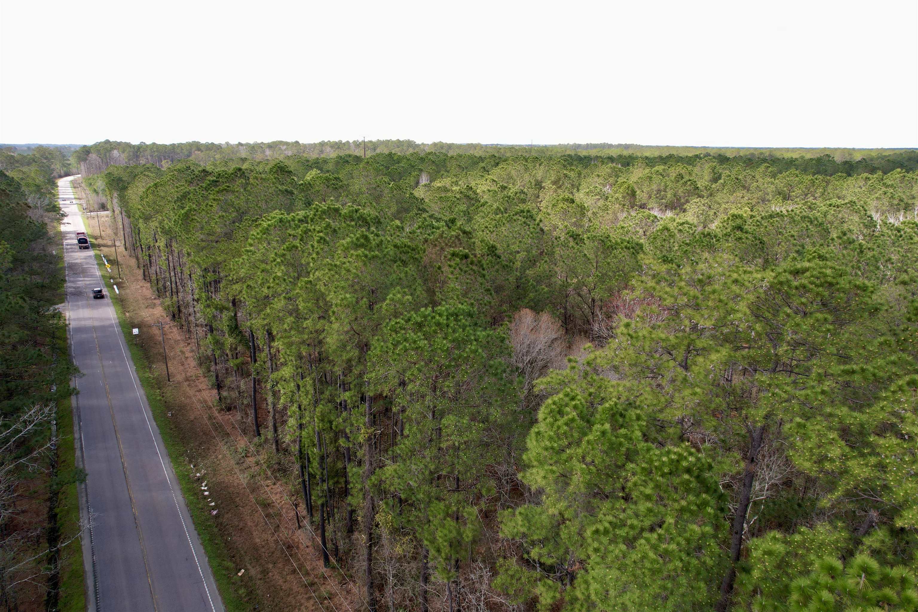 Tract C - Tbd Pennyroyal Rd. Property Photo 8