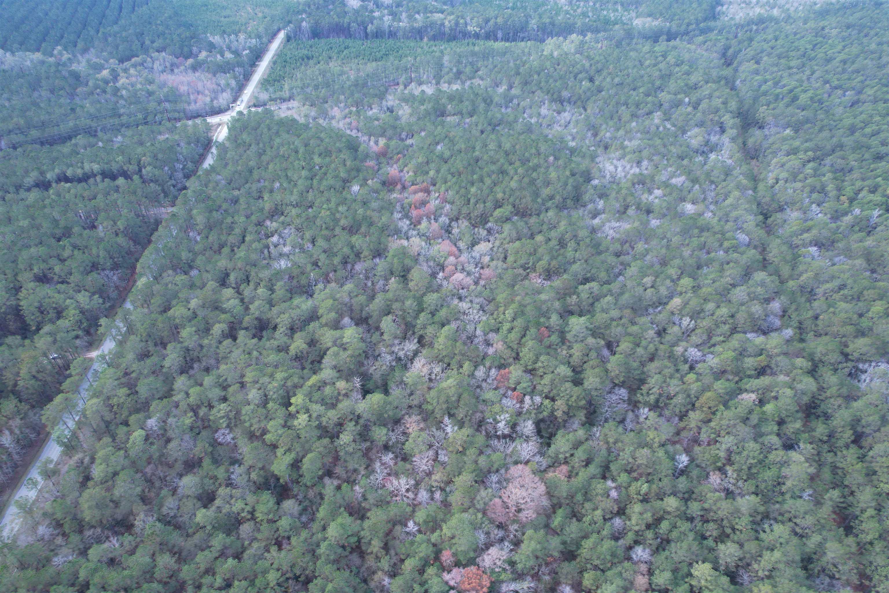 Tract C - Tbd Pennyroyal Rd. Property Photo 11
