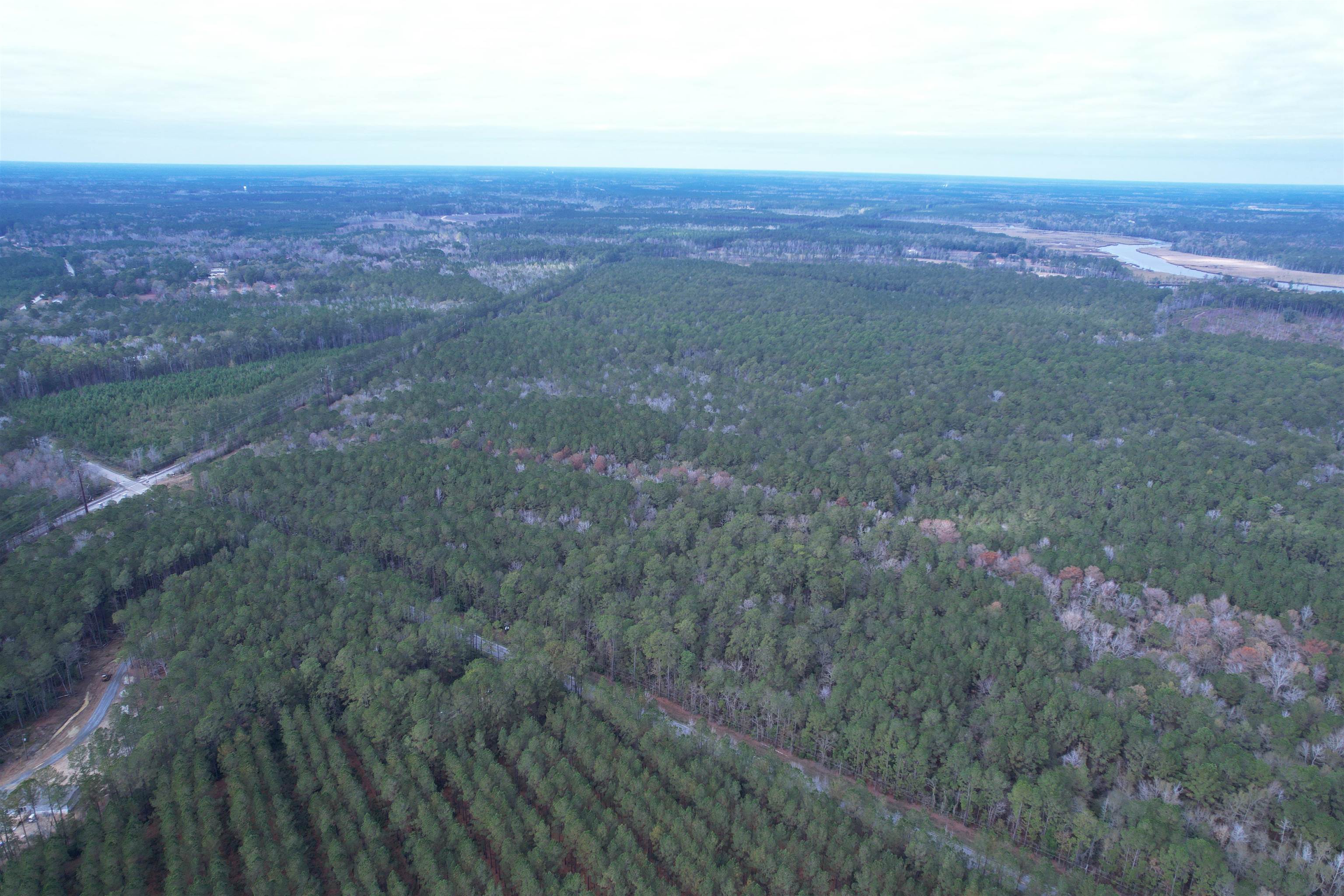 Tract C - Tbd Pennyroyal Rd. Property Photo 12