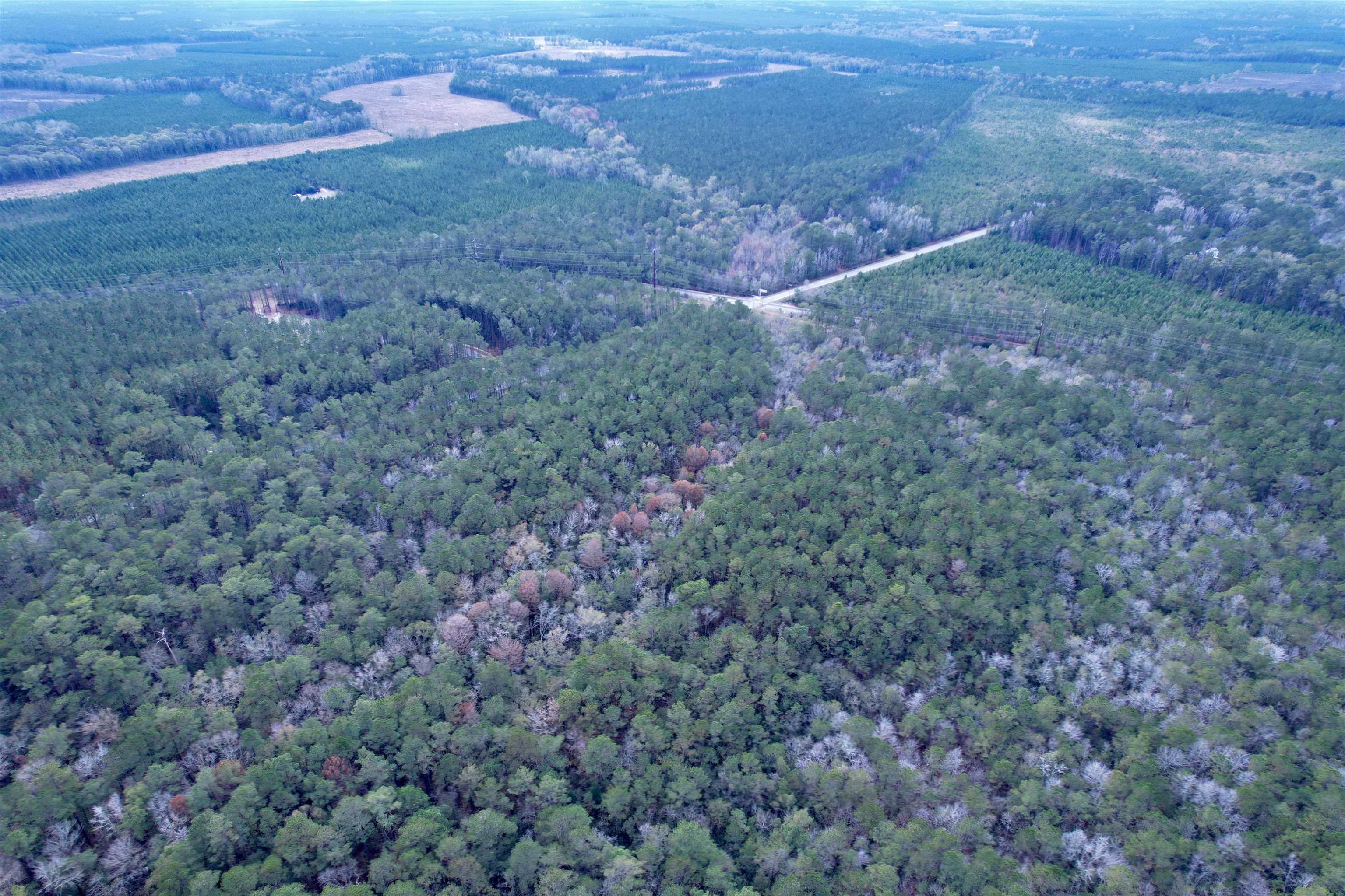 Tract C - Tbd Pennyroyal Rd. Property Photo 13