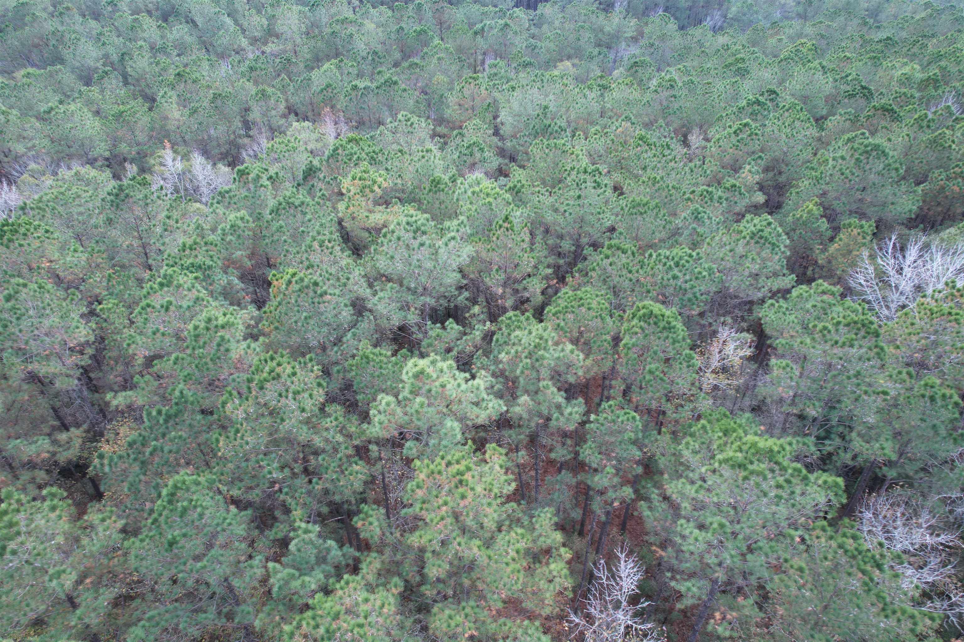 Tract C - Tbd Pennyroyal Rd. Property Photo 16