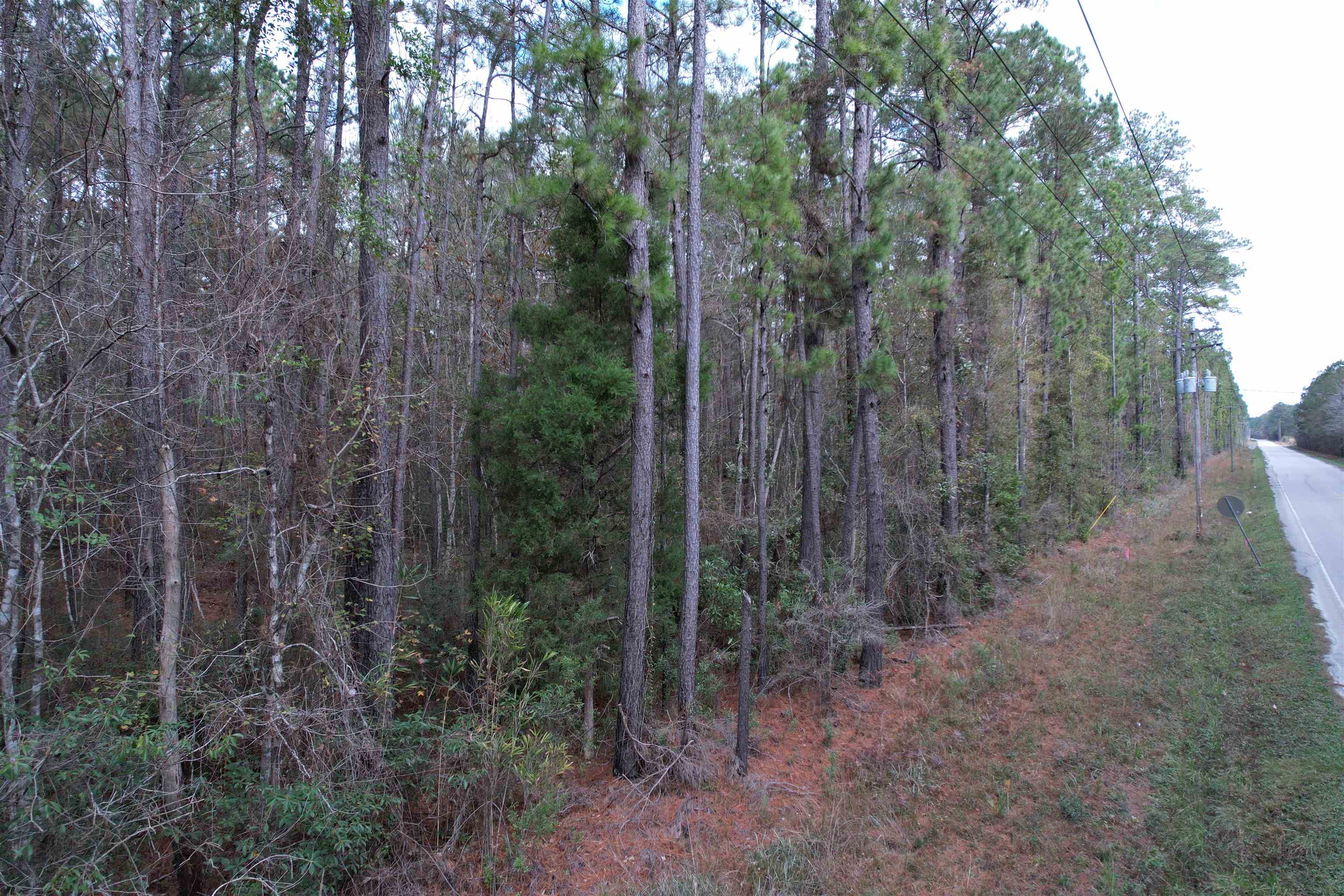 Tract C - Tbd Pennyroyal Rd. Property Photo 18