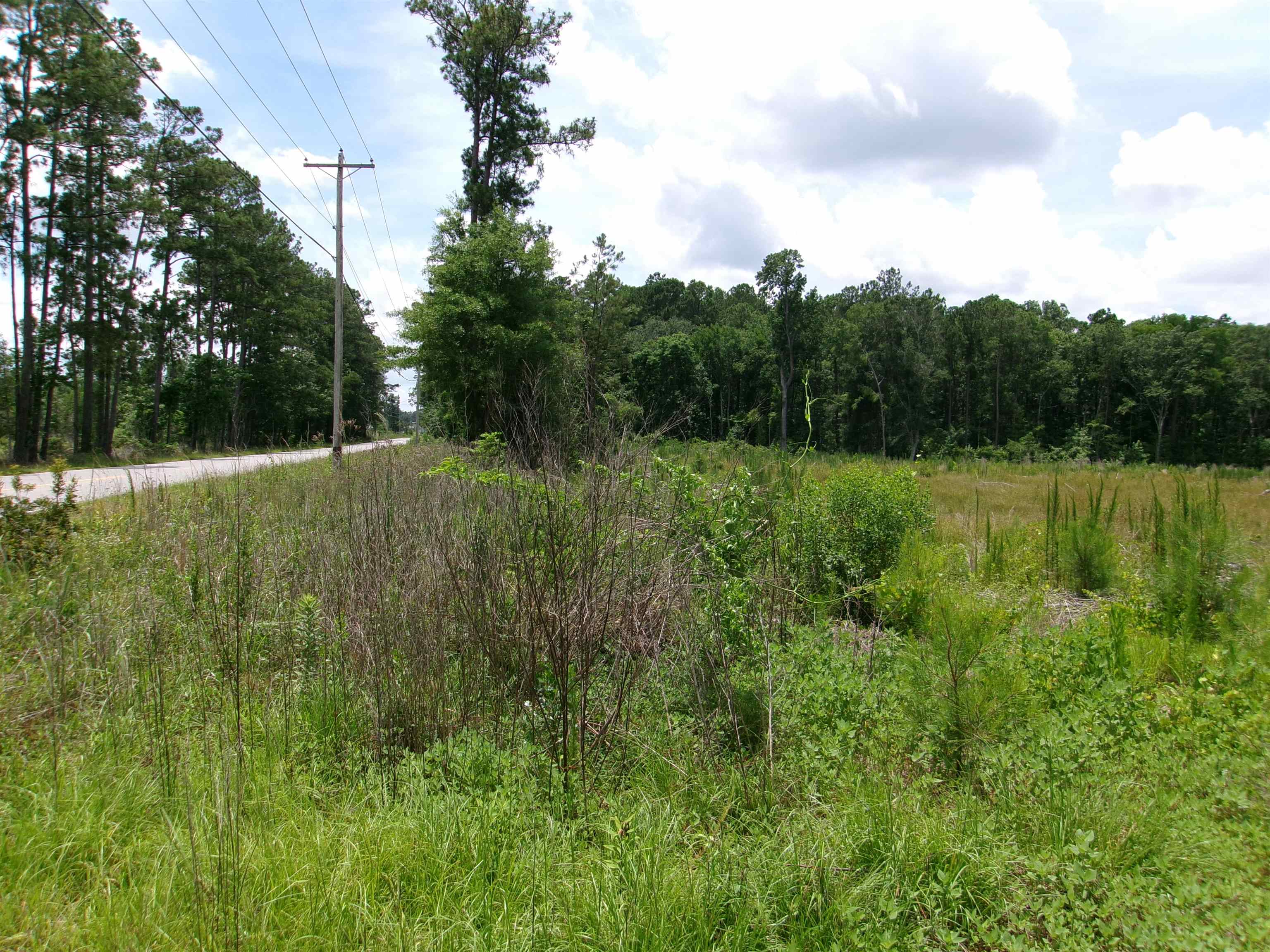 Burcale Rd. Property Photo 3