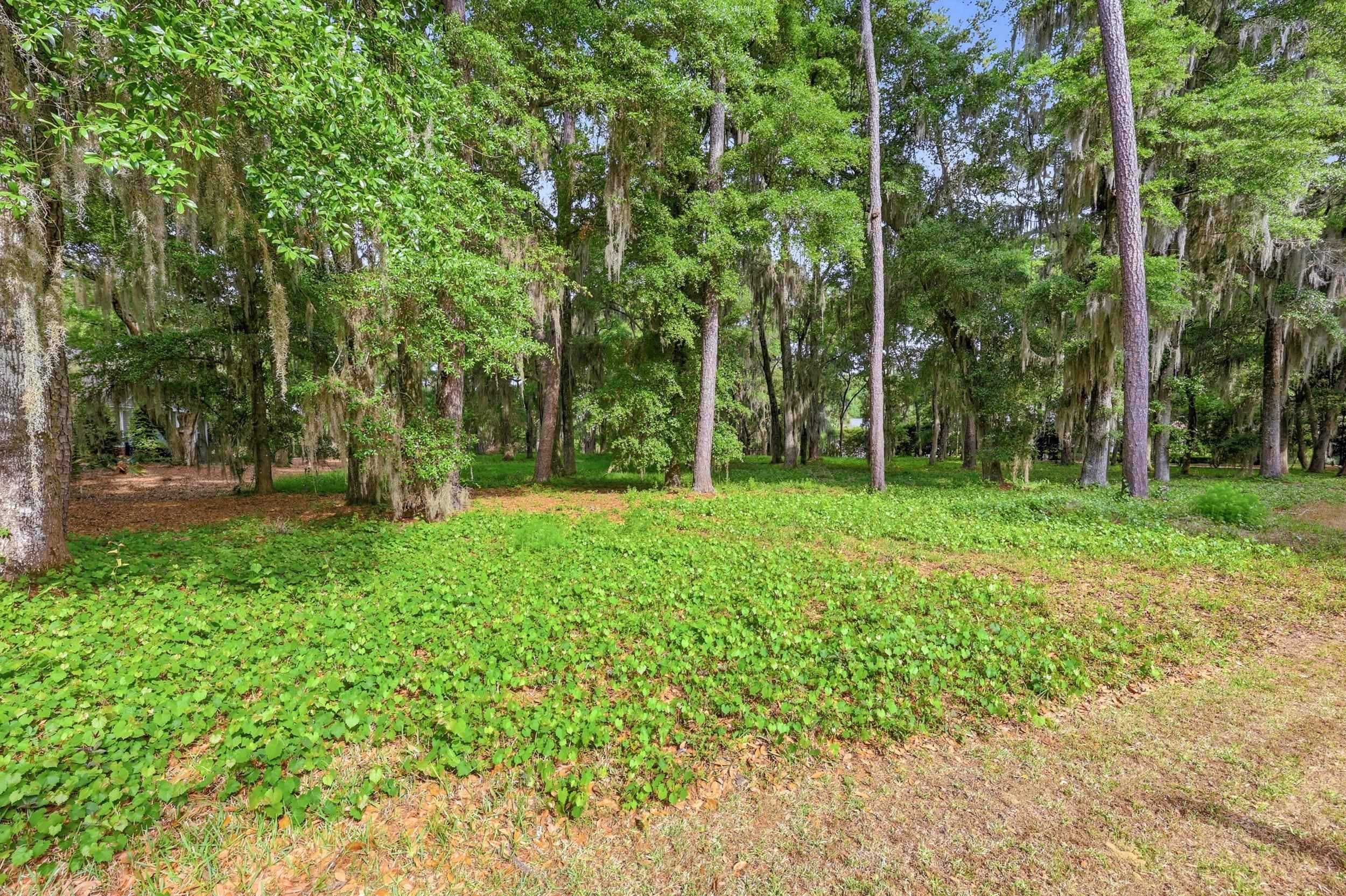 116 Sandy Ridge Loop Property Photo 3