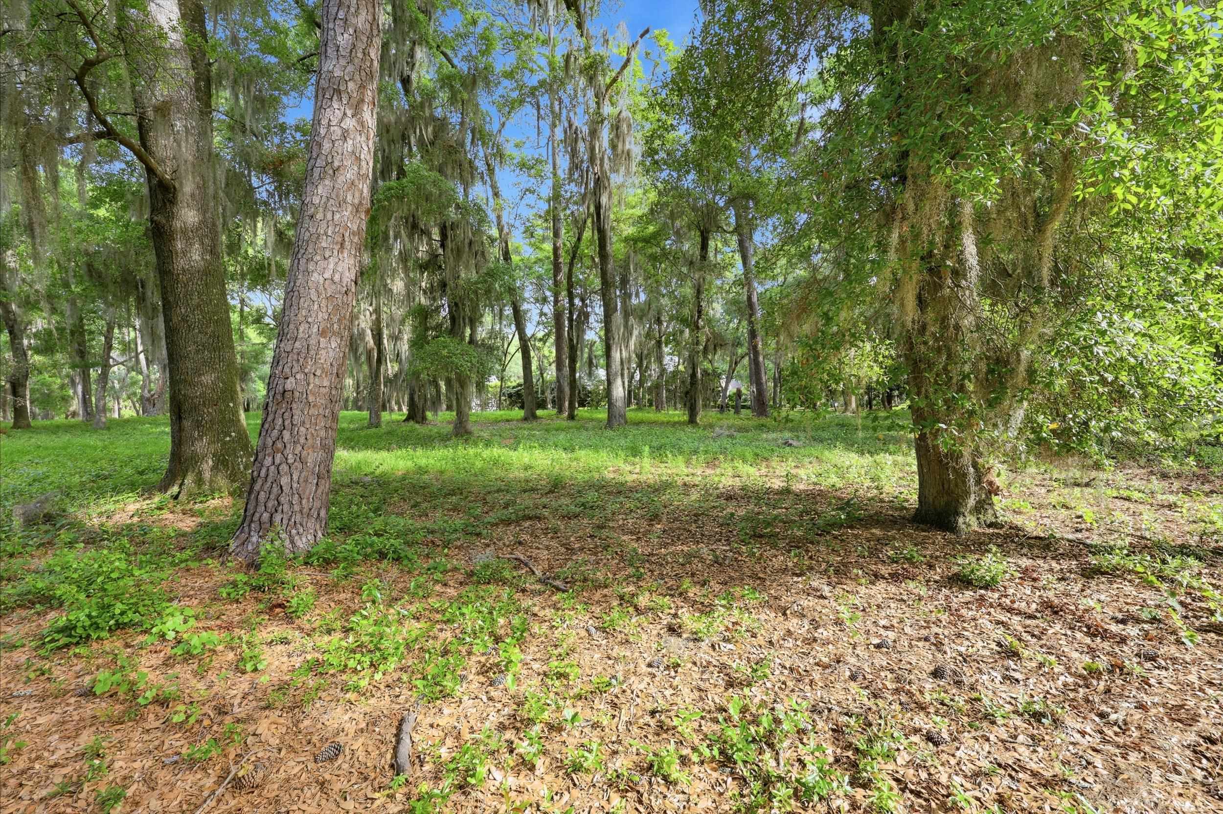 116 Sandy Ridge Loop Property Photo 4