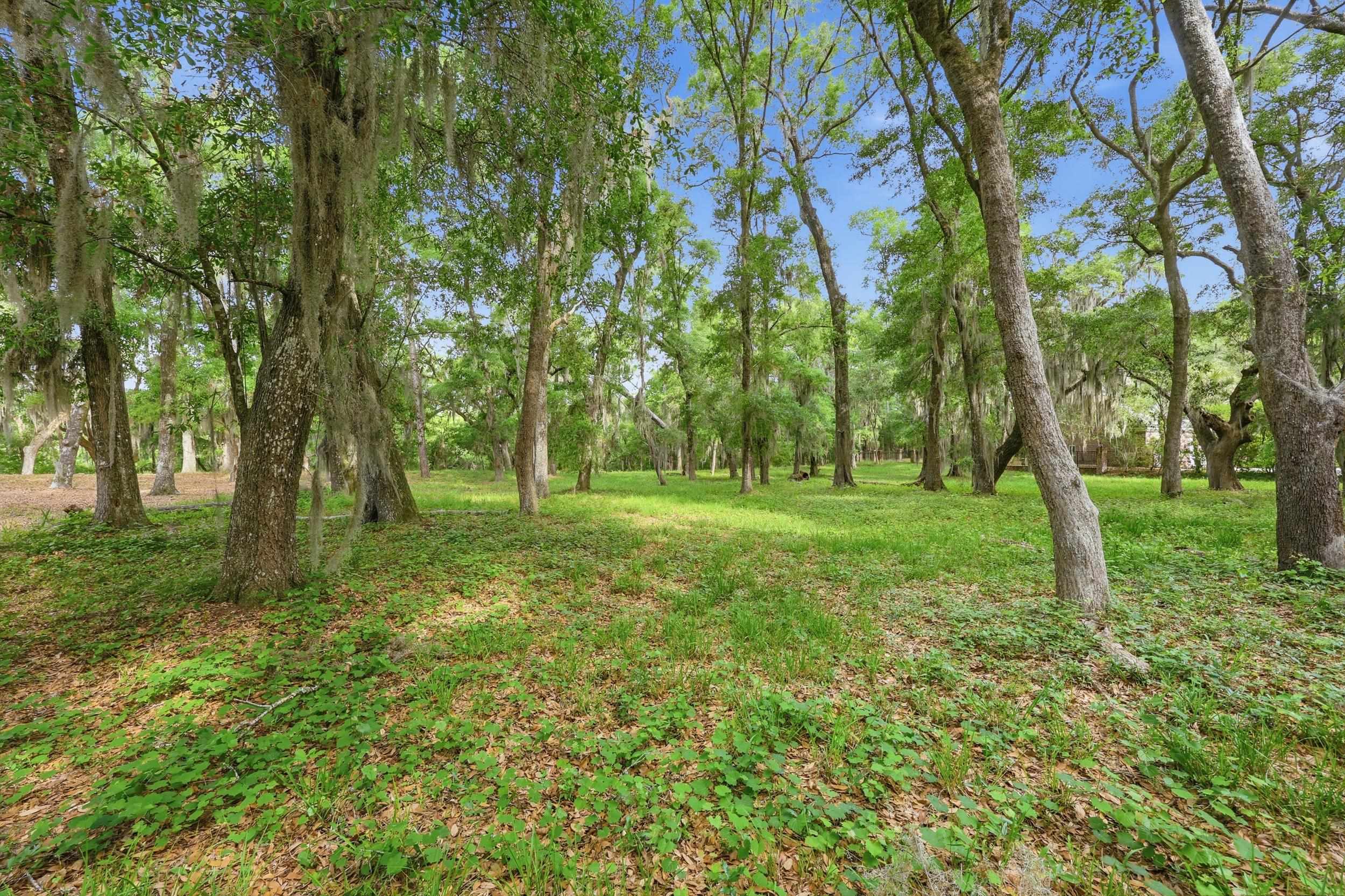 116 Sandy Ridge Loop Property Photo 5