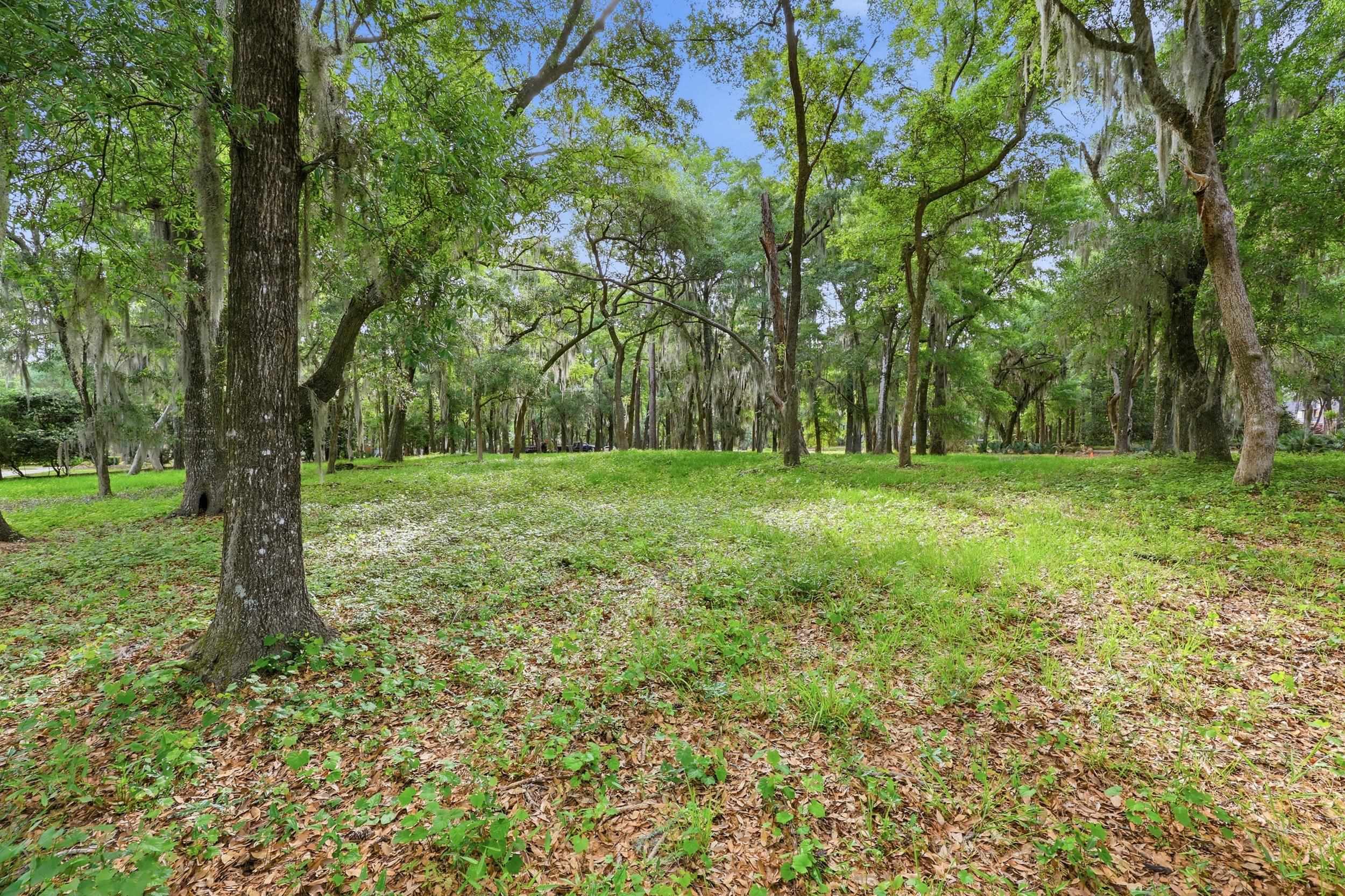 116 Sandy Ridge Loop Property Photo 6