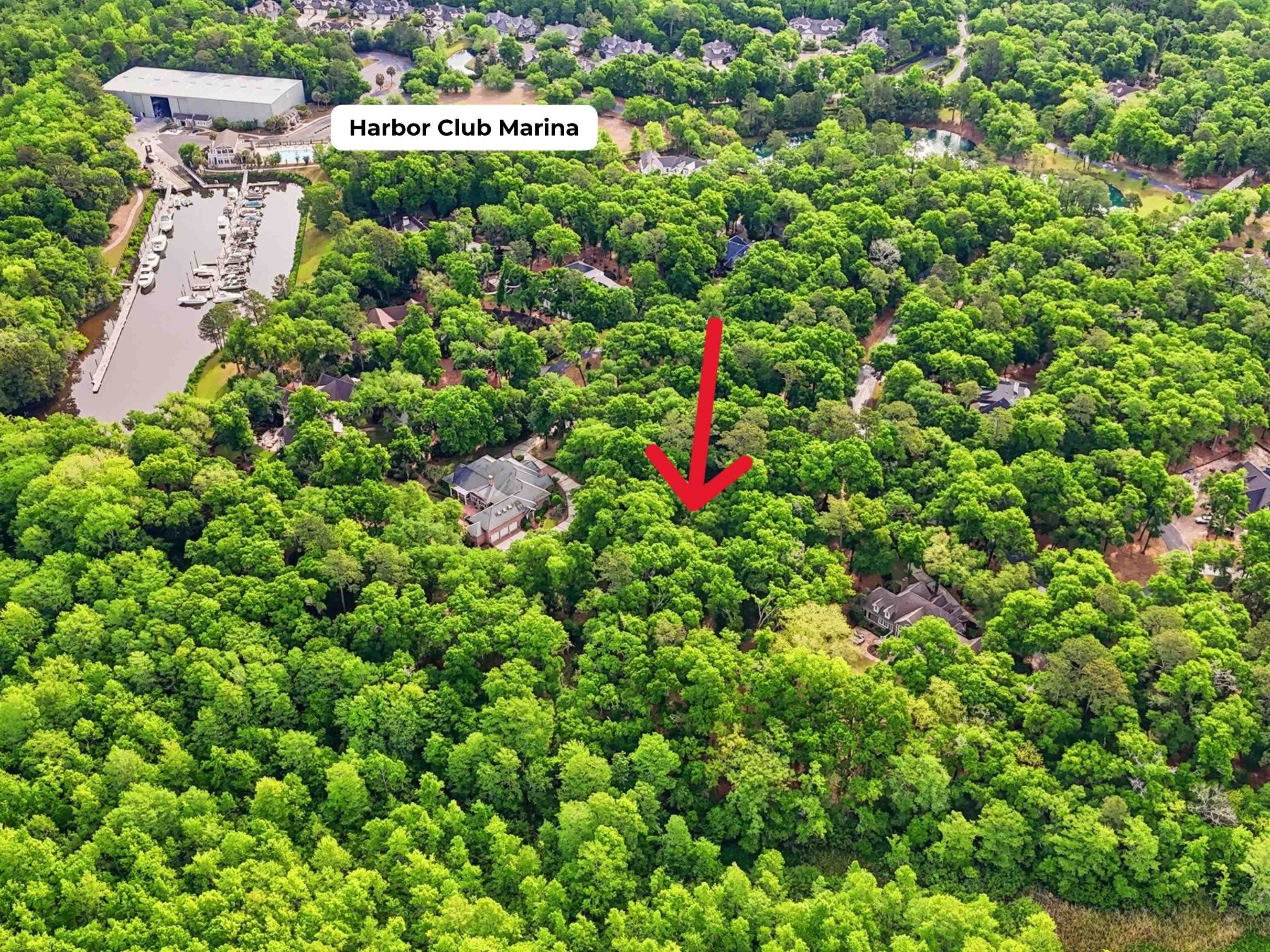 116 Sandy Ridge Loop Property Photo 10