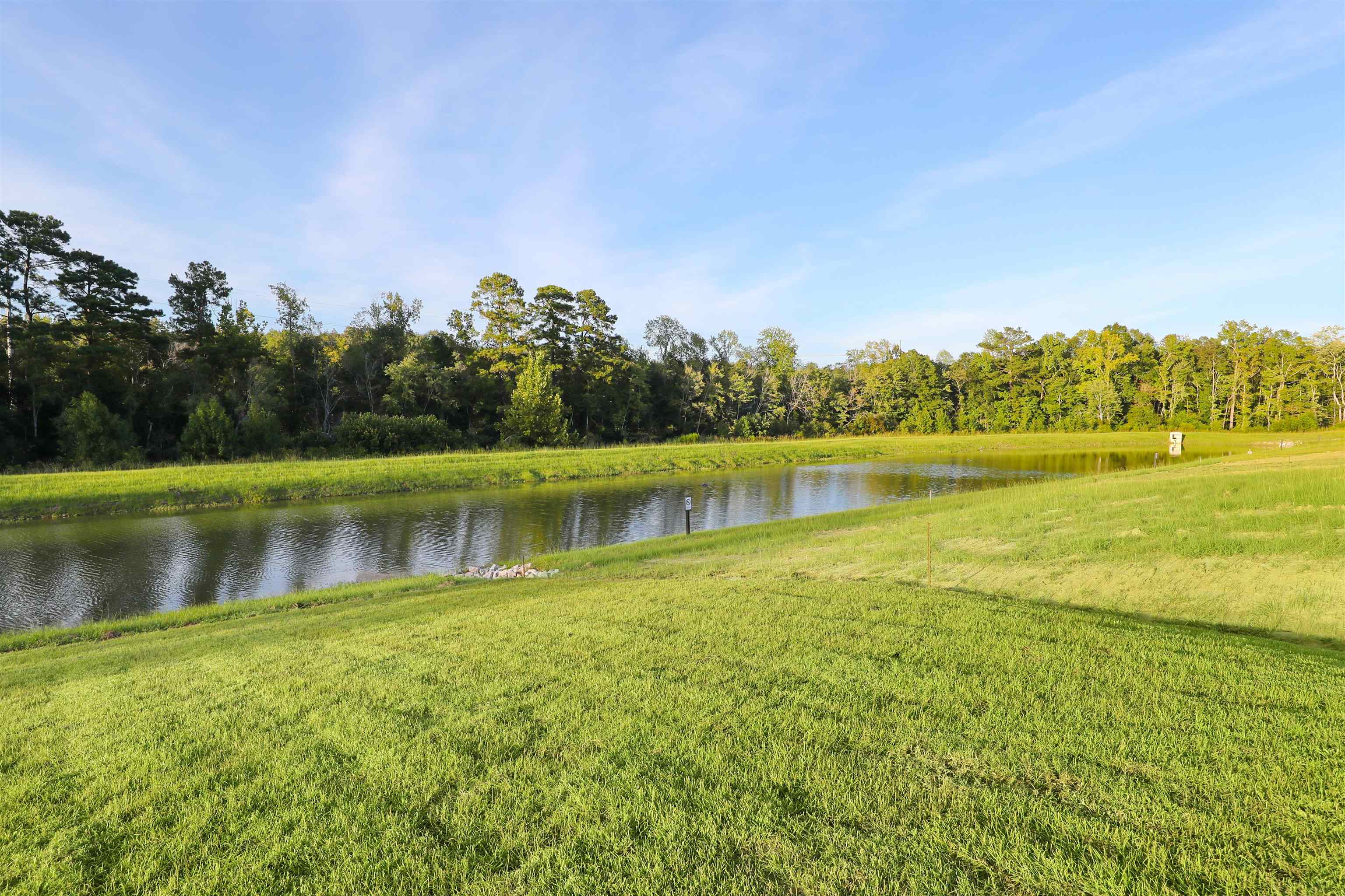 172 Bolsin Ct Property Photo 49