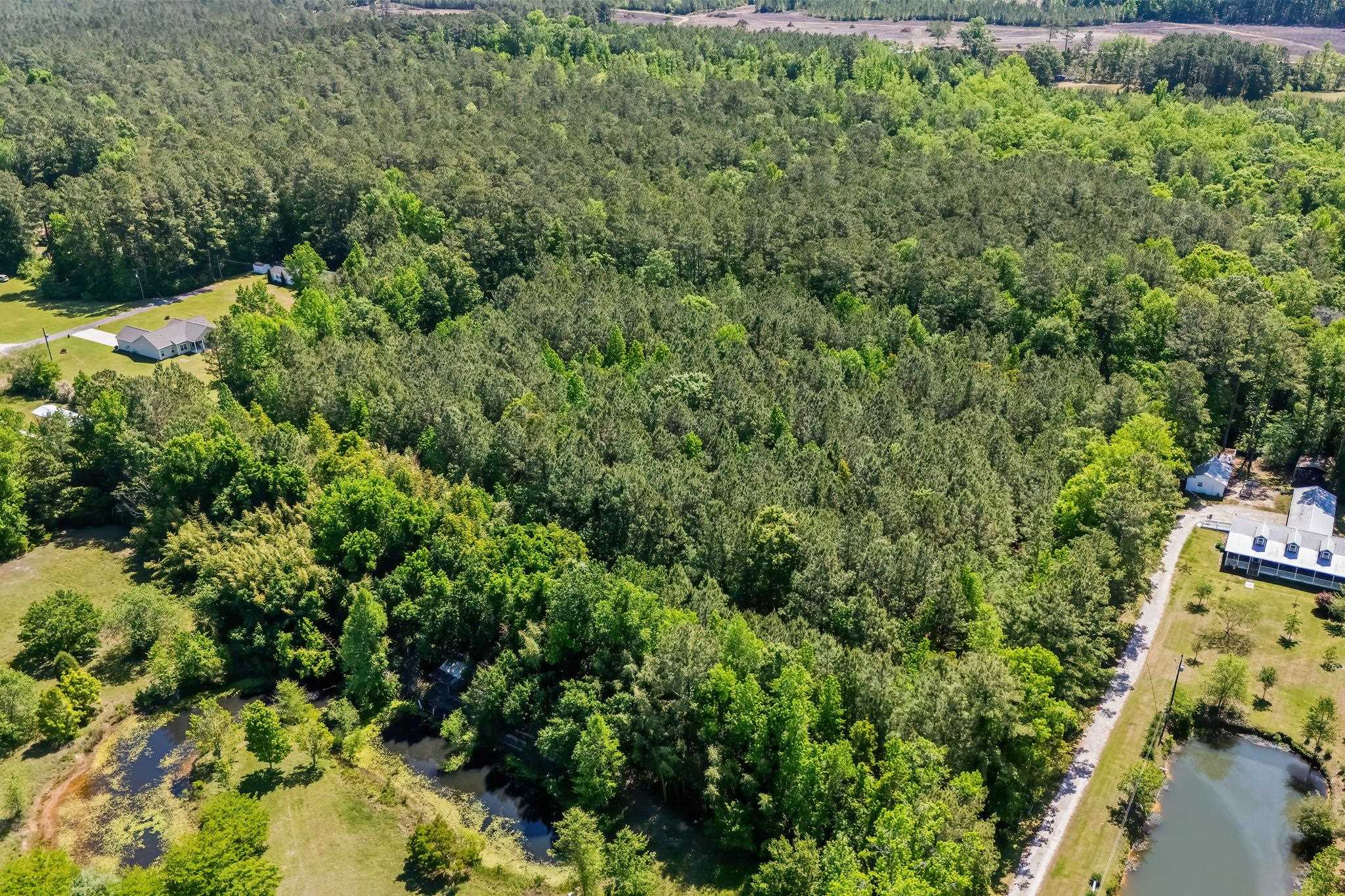 Tbd Rodney Rd. Property Photo 6