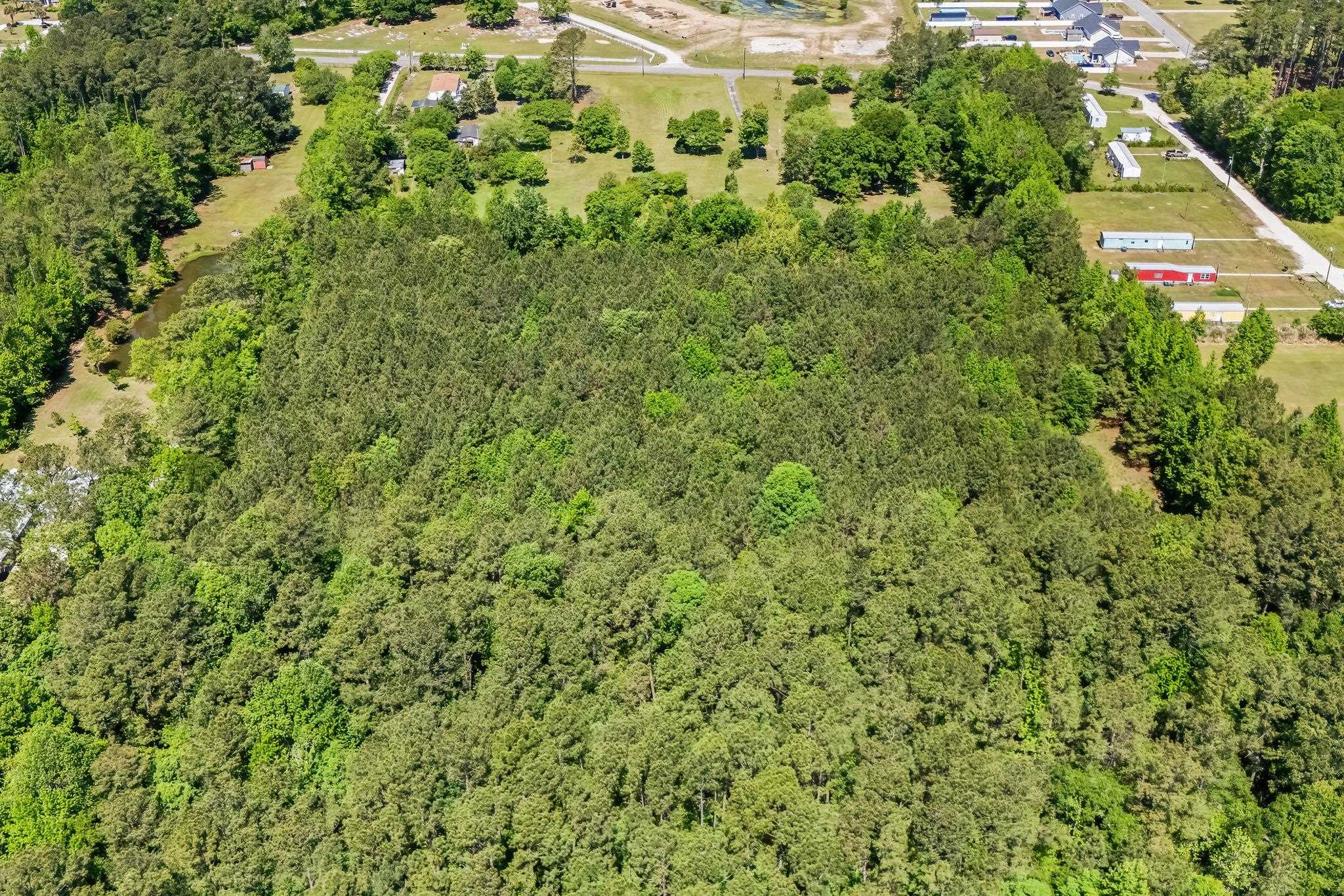 Tbd Rodney Rd. Property Photo 10