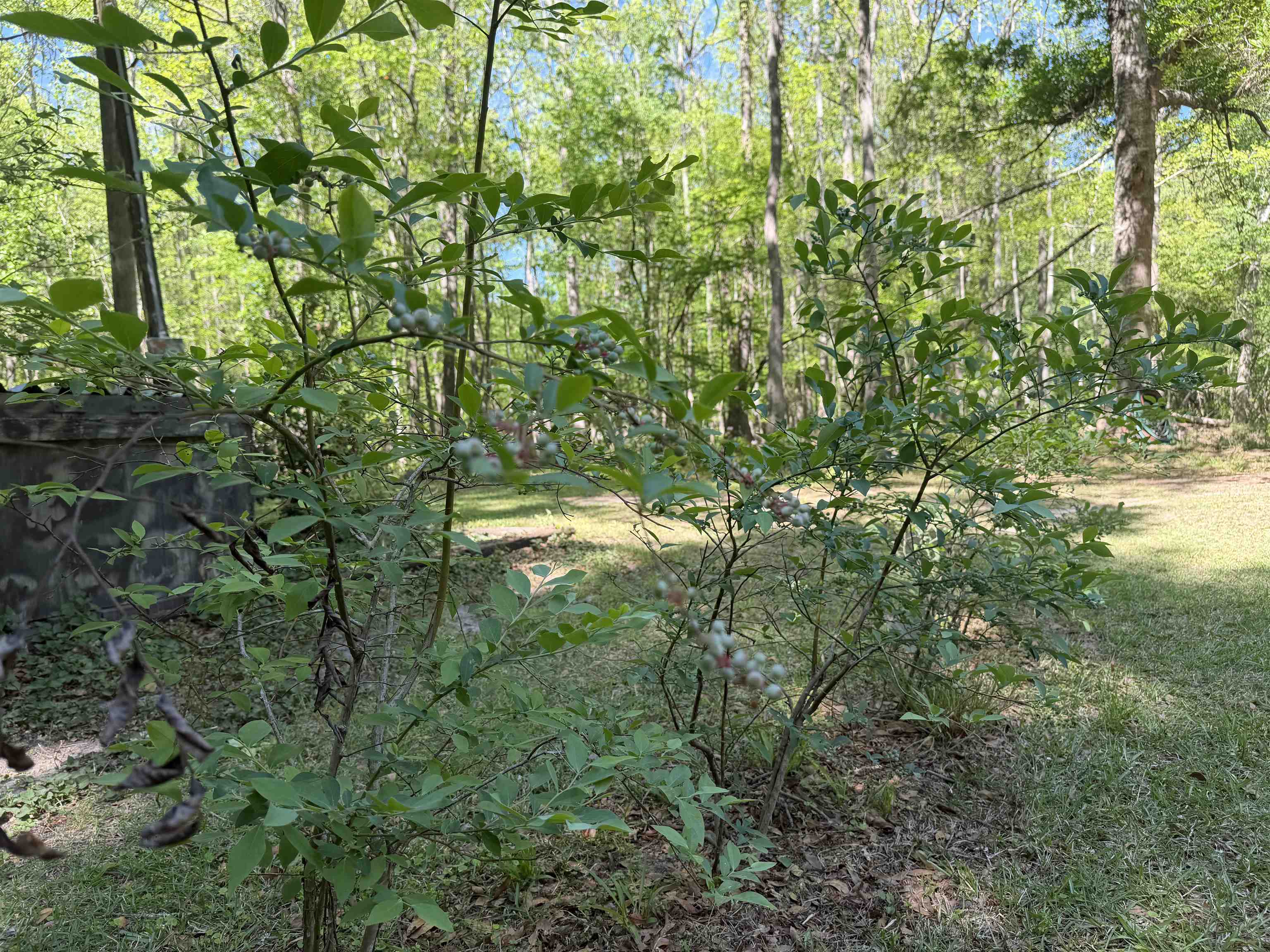 134 Lookout Dr Property Photo 12