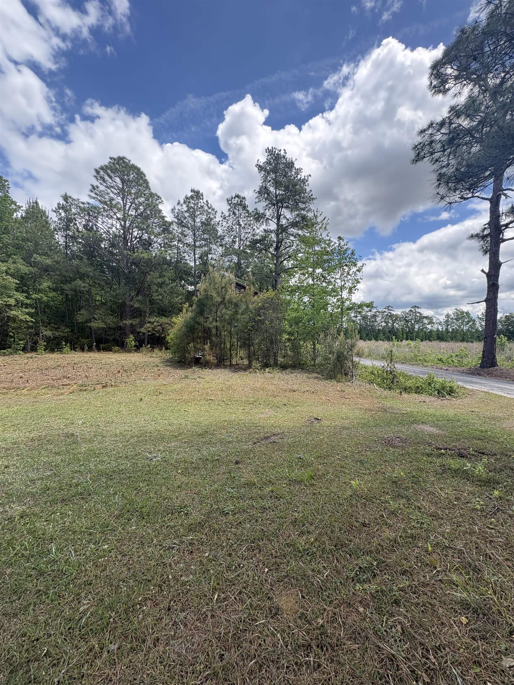 452 Tram Rd. Property Photo 8
