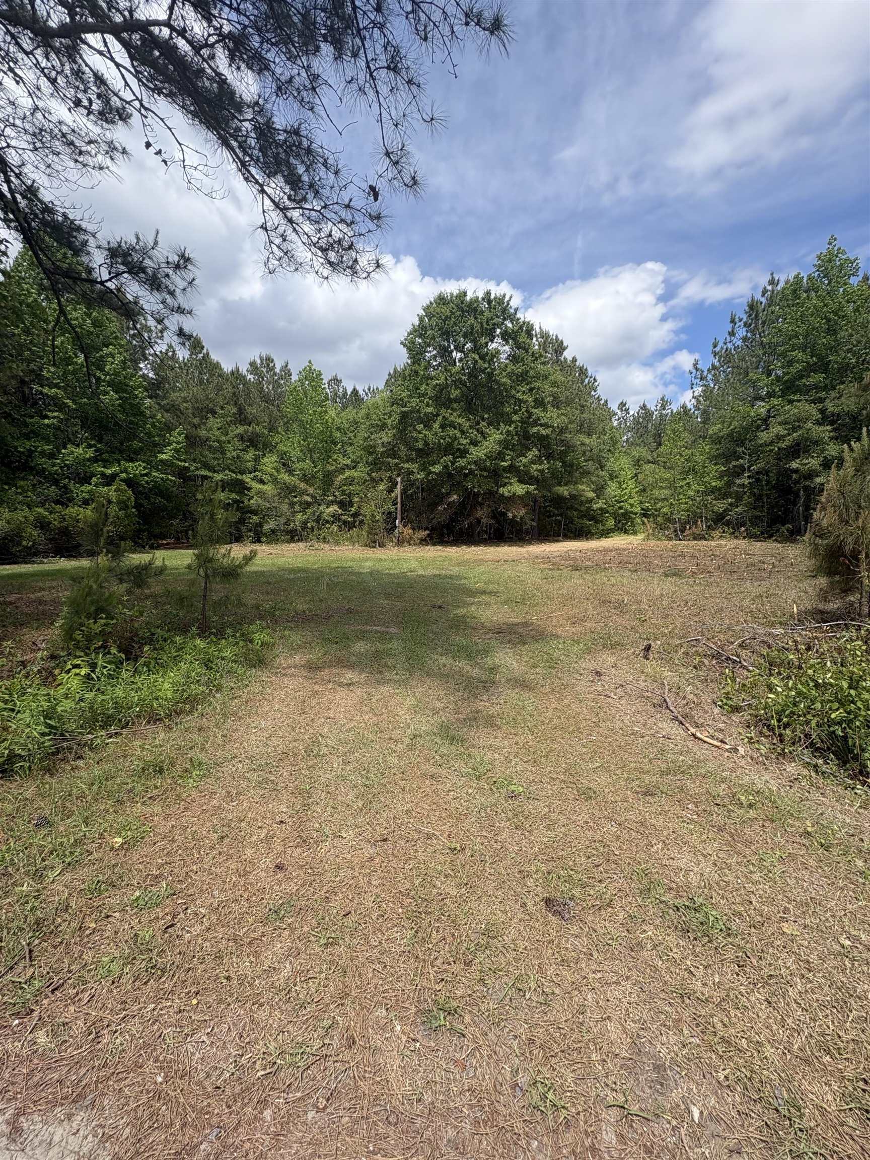 452 Tram Rd. Property Photo 9