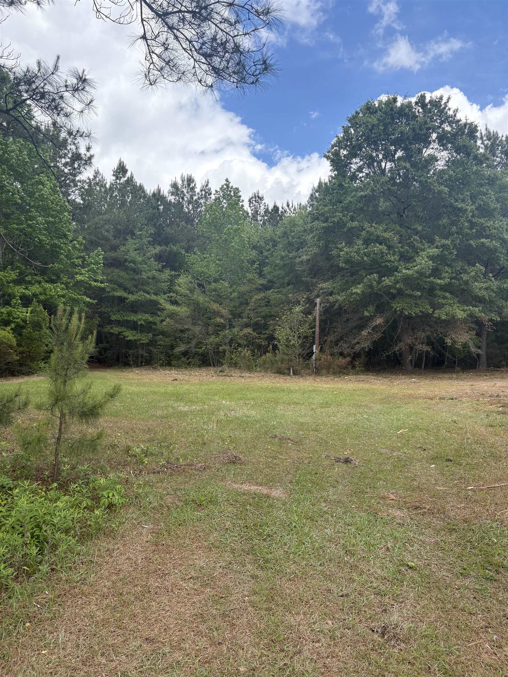 452 Tram Rd. Property Photo 11