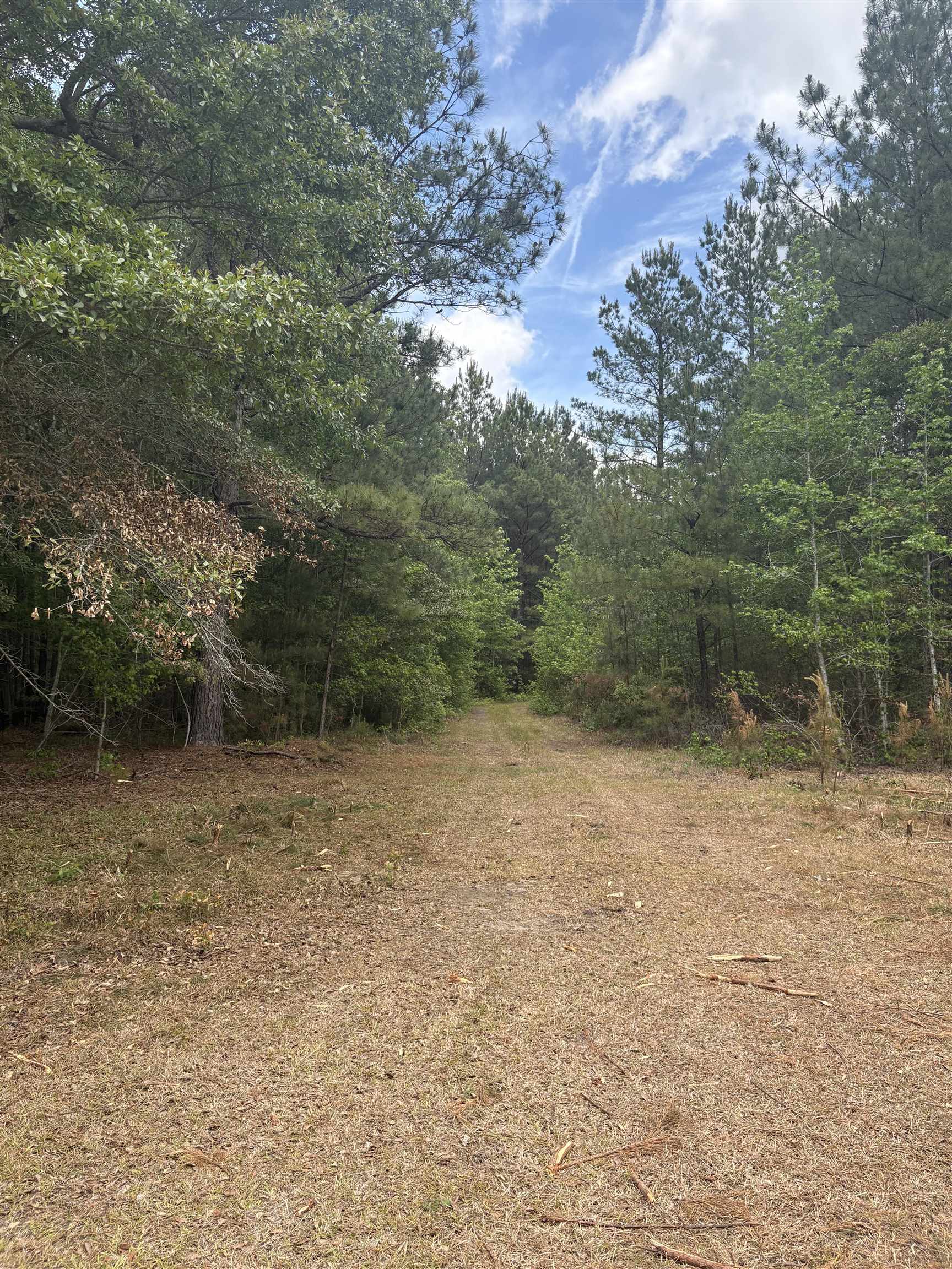 452 Tram Rd. Property Photo 14