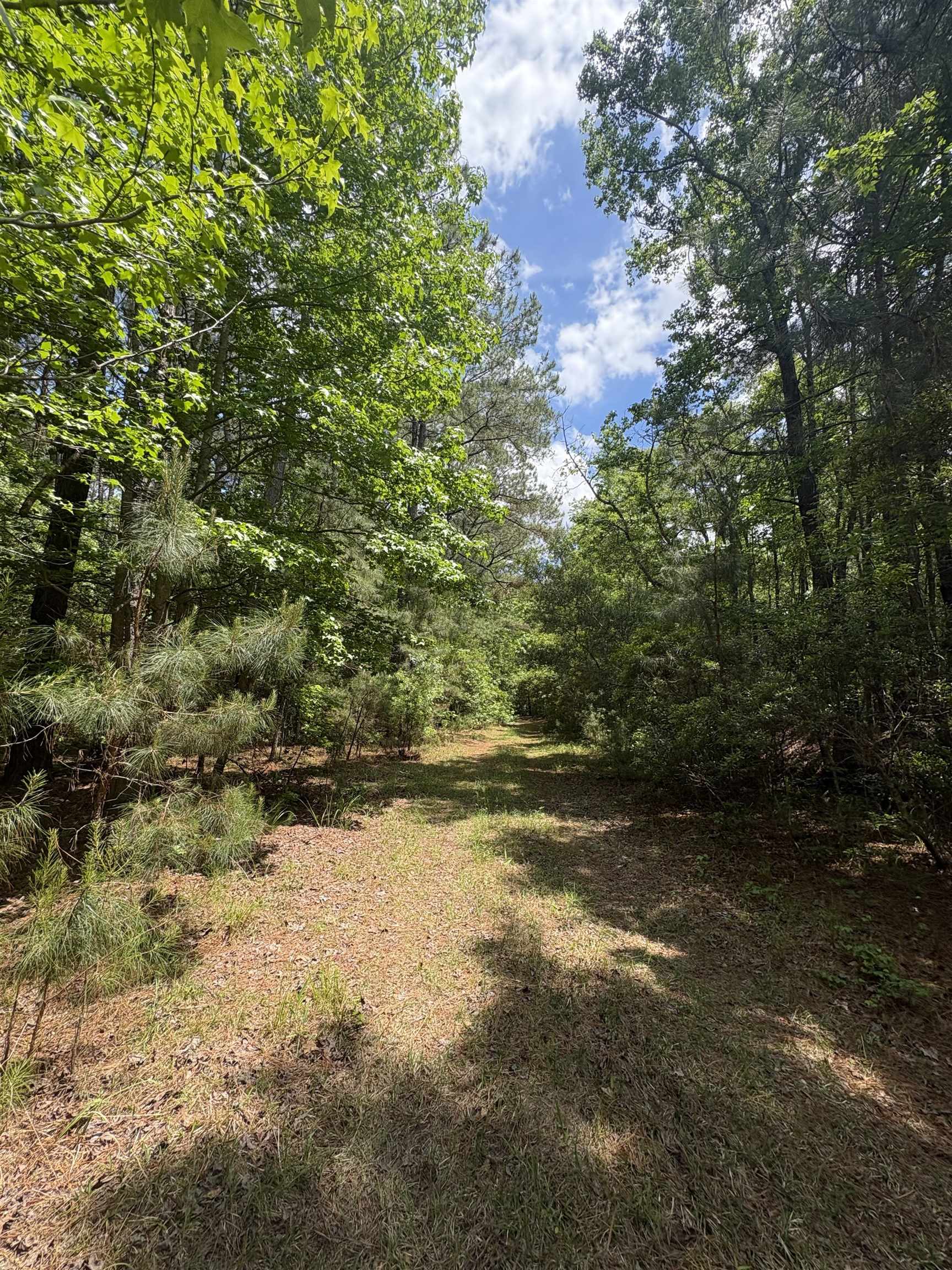 452 Tram Rd. Property Photo 17