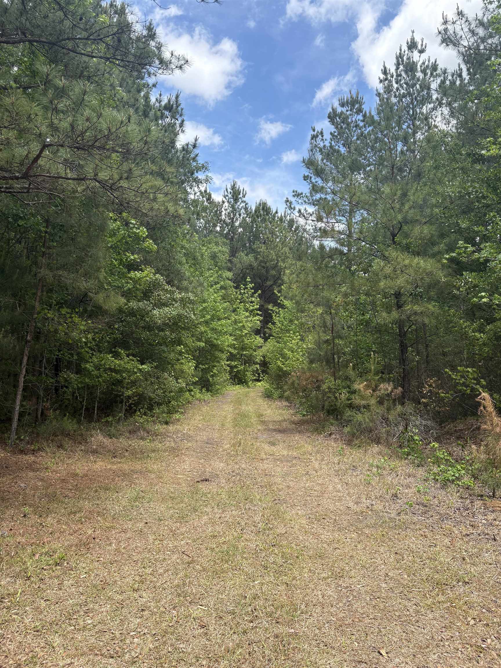 452 Tram Rd. Property Photo 20
