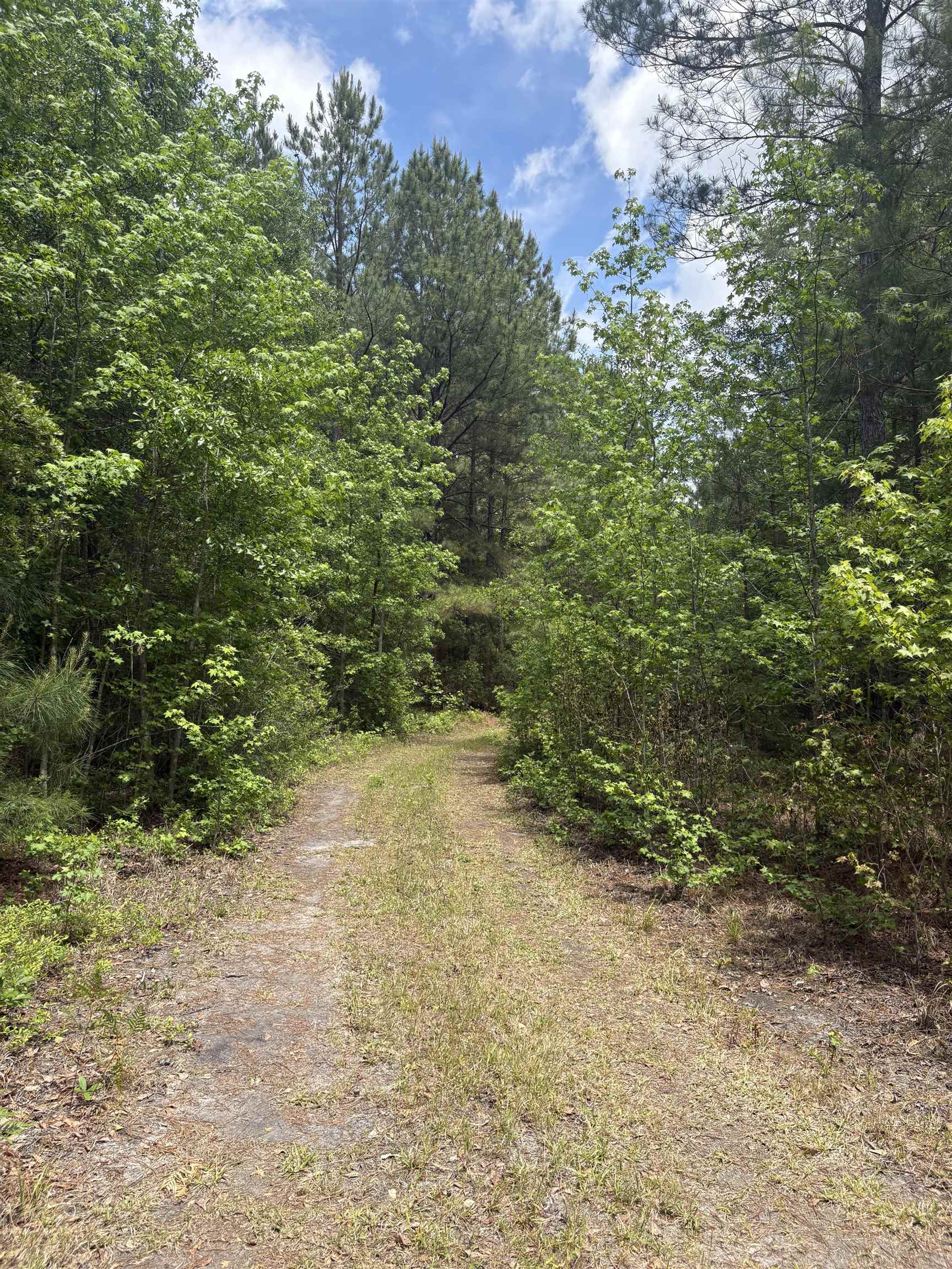 452 Tram Rd. Property Photo 21