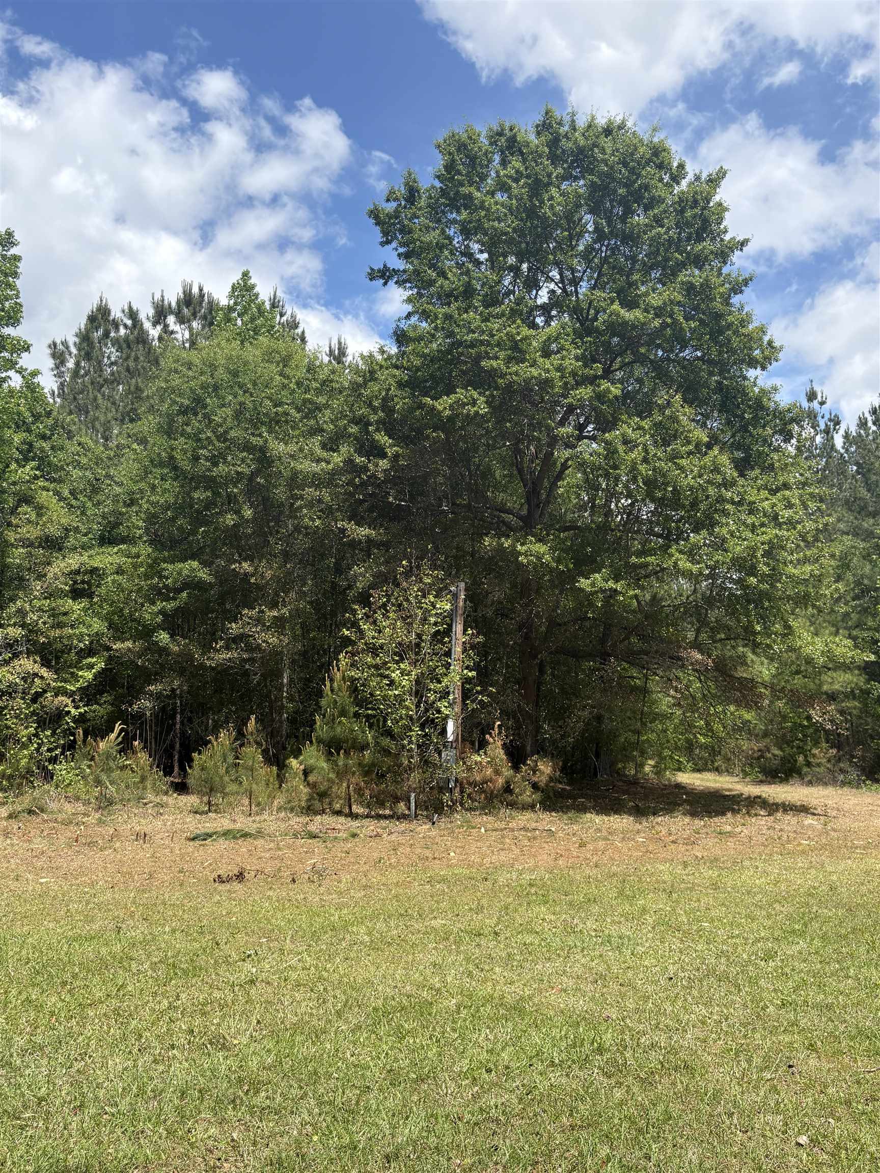 452 Tram Rd. Property Photo 23